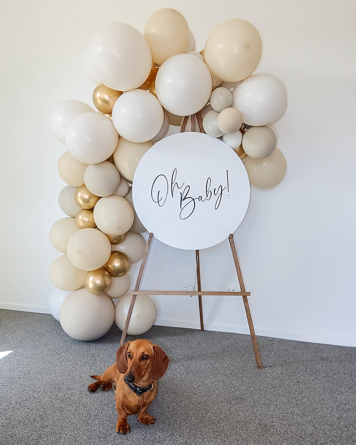 Cute photo back drop for the cutest baby shower guest 🎉