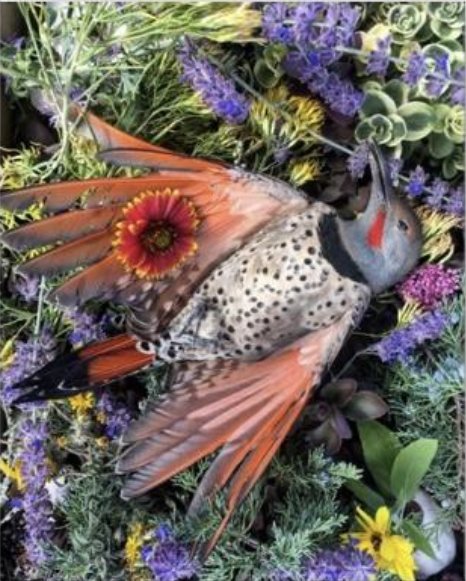 Flicker by Alex Stone
