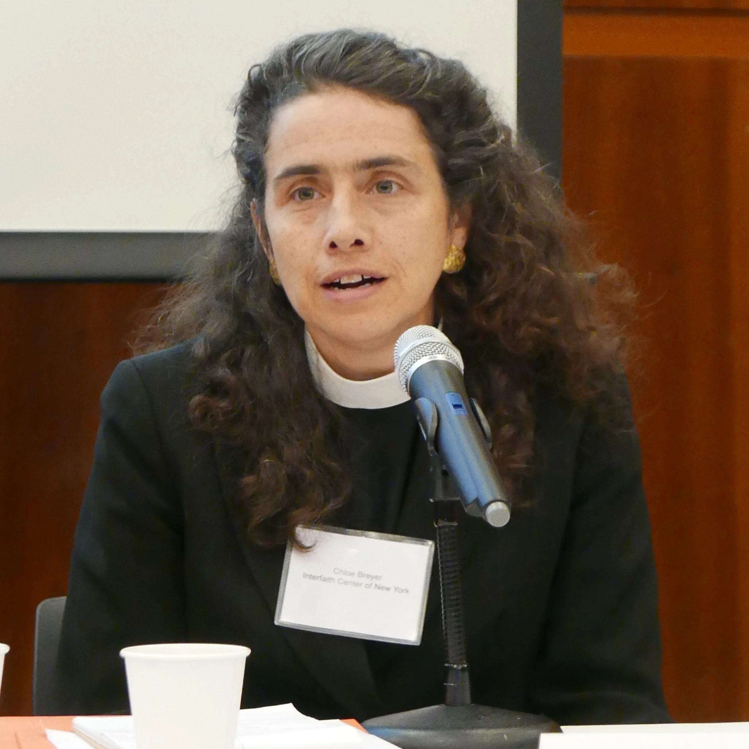 The Rev. Dr. Chloe Breyer Headshot