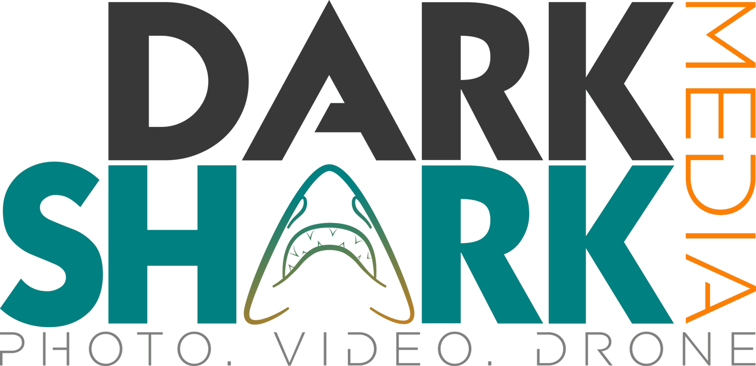DARKSHARK Media