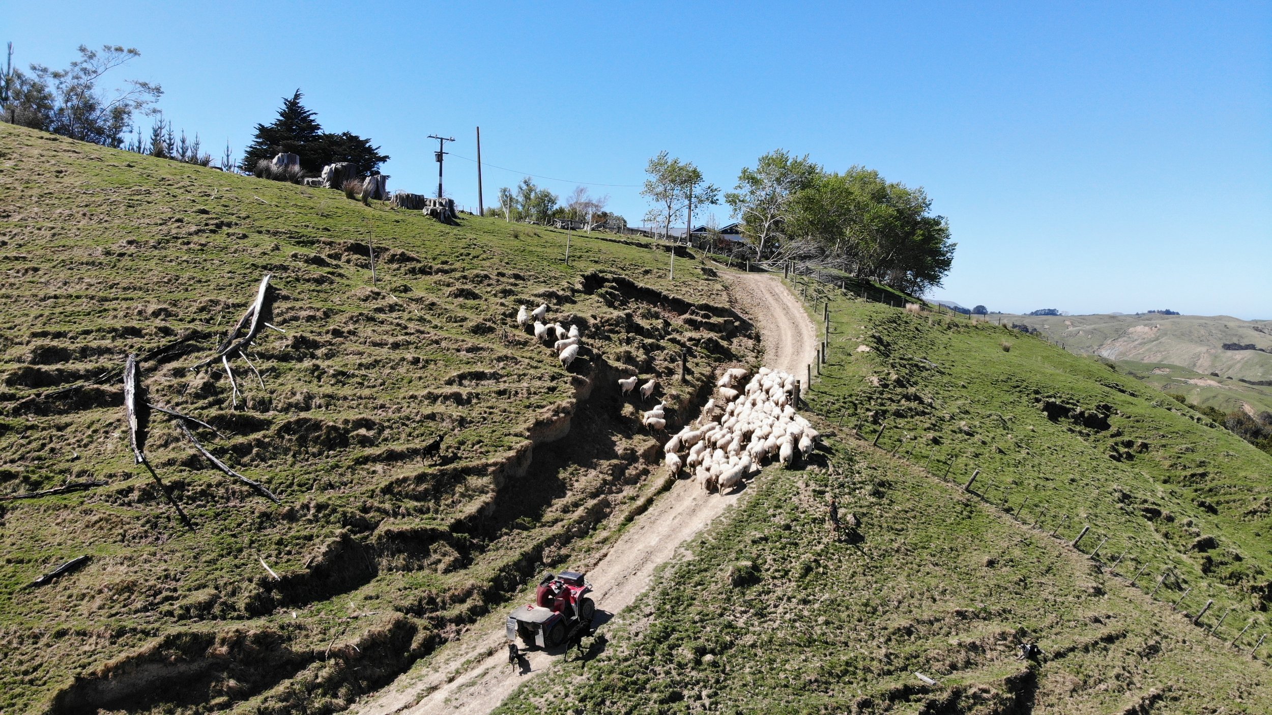 DJI_0126.JPG