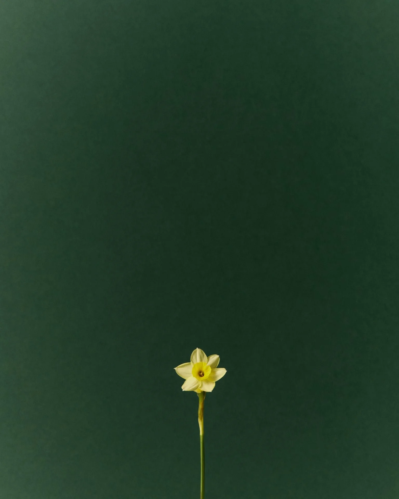 IMG_6316.png