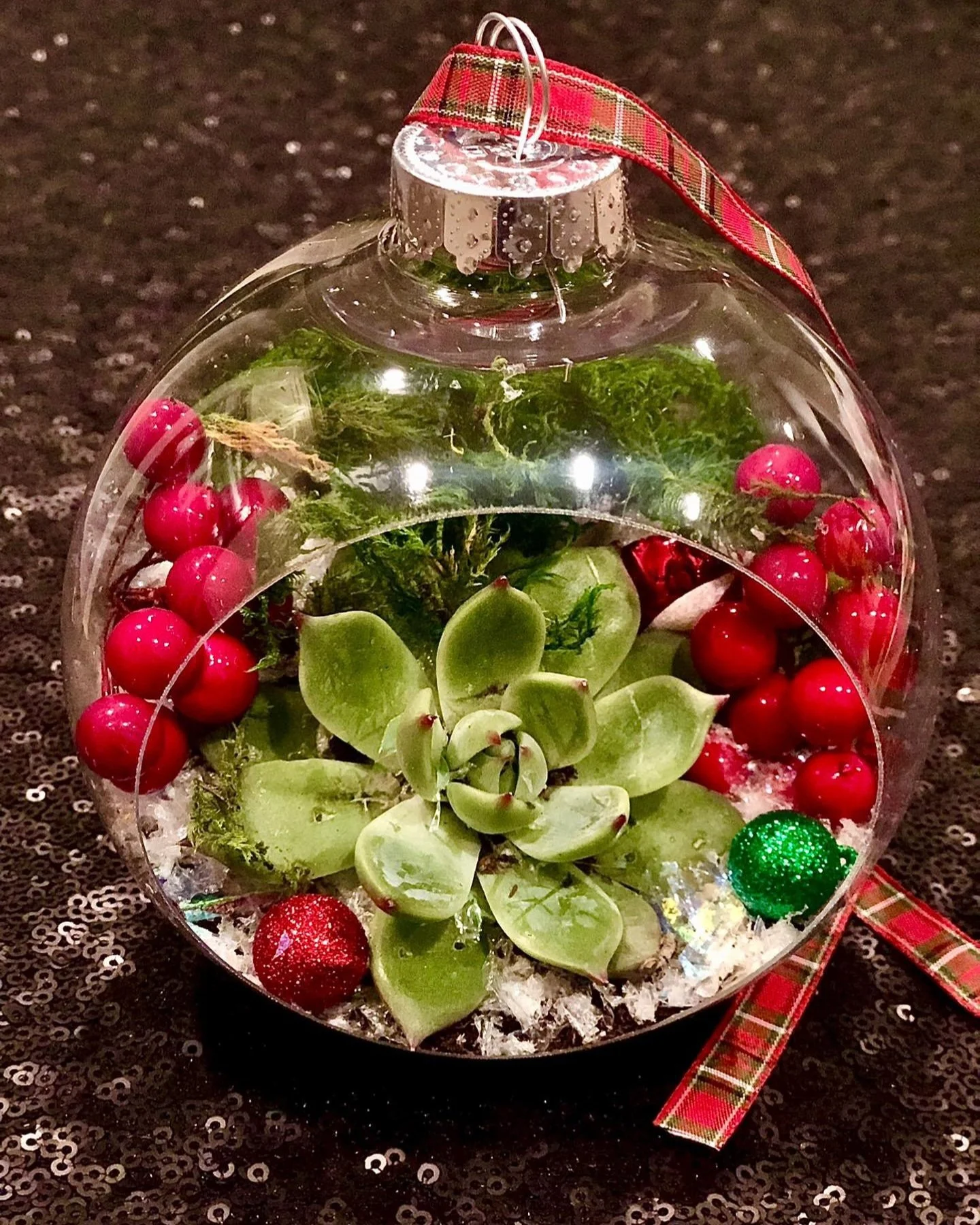 Terrarium Christmas Ornaments — The Coterie Co.