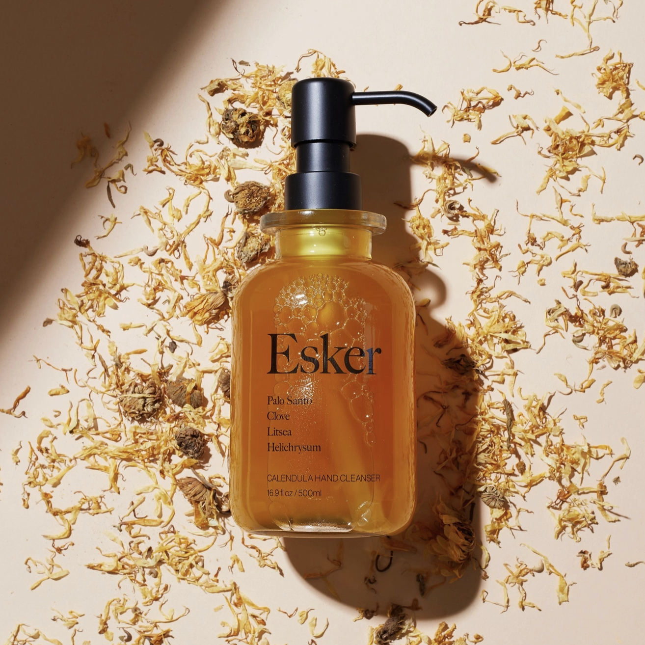 Screen Shot 2026-01-22 at 1.54.15 PM.png