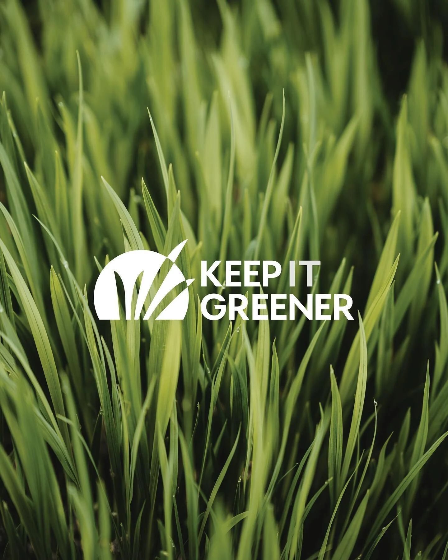 We are a Sydney based lawn care business. We aim to give you the best lawn on the block. We specialise in keeping your lawn green, lush &amp; weed free. We love providing clients our specialised lawn treatments to get a healthy looking lawn. We have 