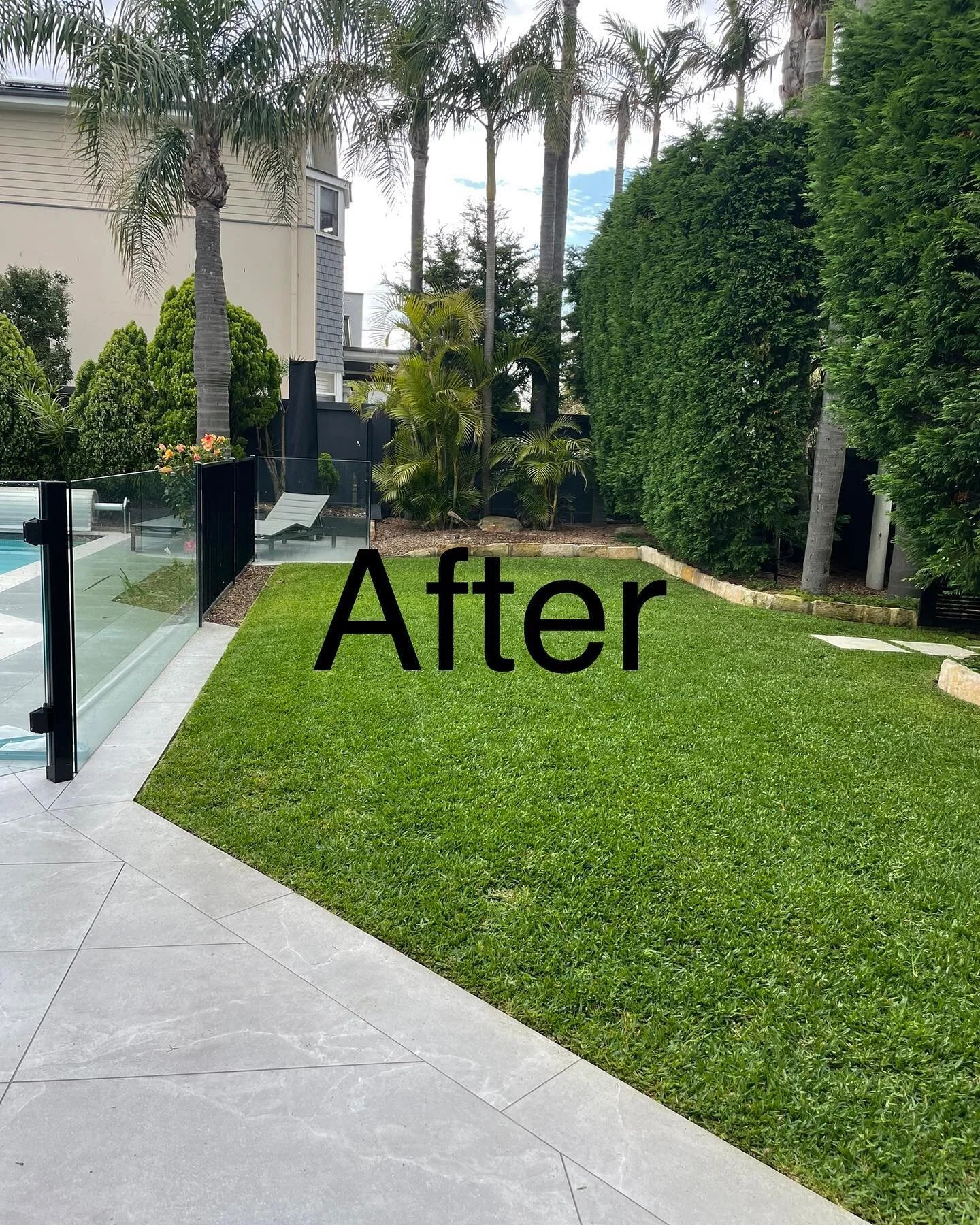 Before &amp; After a lawn treatment. This lawn is looking much healthier, we have eliminated almost all the weeds and it&rsquo;s looking lush &amp; healthy.