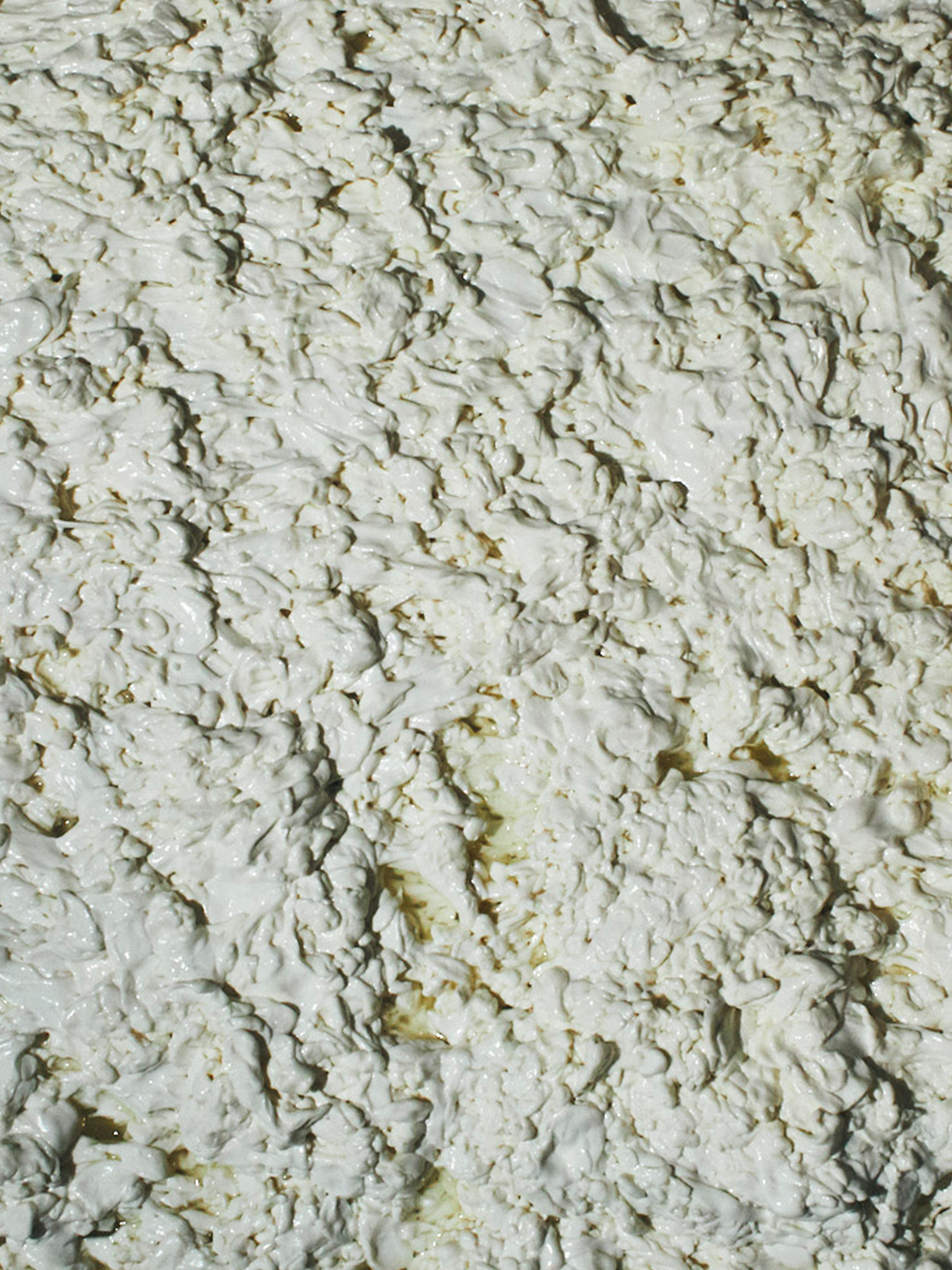 MONOCULTURE_PROJECTS_OPENSOURCE_BURRATA_02.png