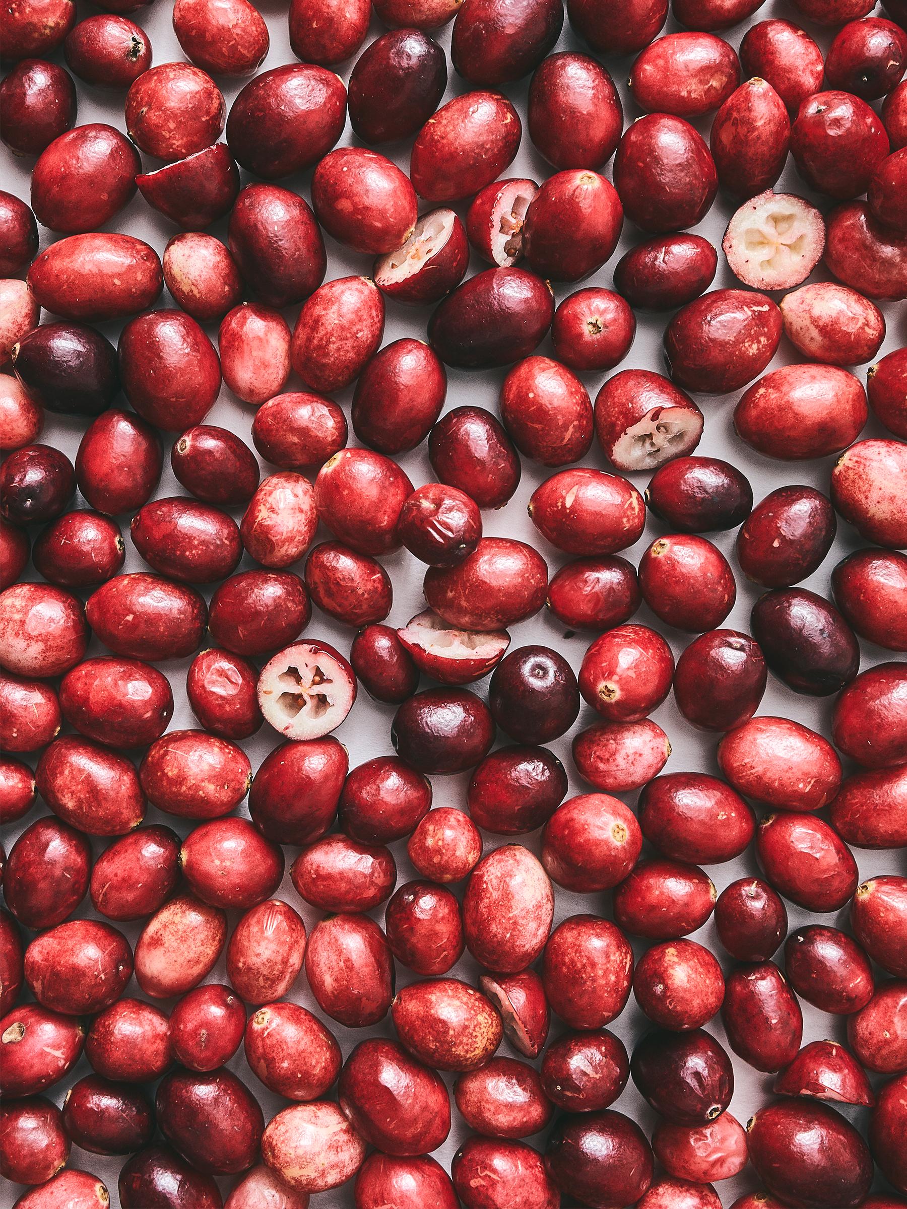 MONOCULTURE_PROJECTS_OPENSOURCE_CRANBERRIES_01.png