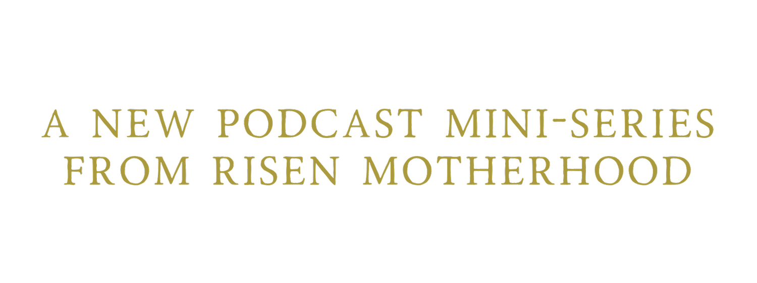 abundance-mini-series-risen-motherhood
