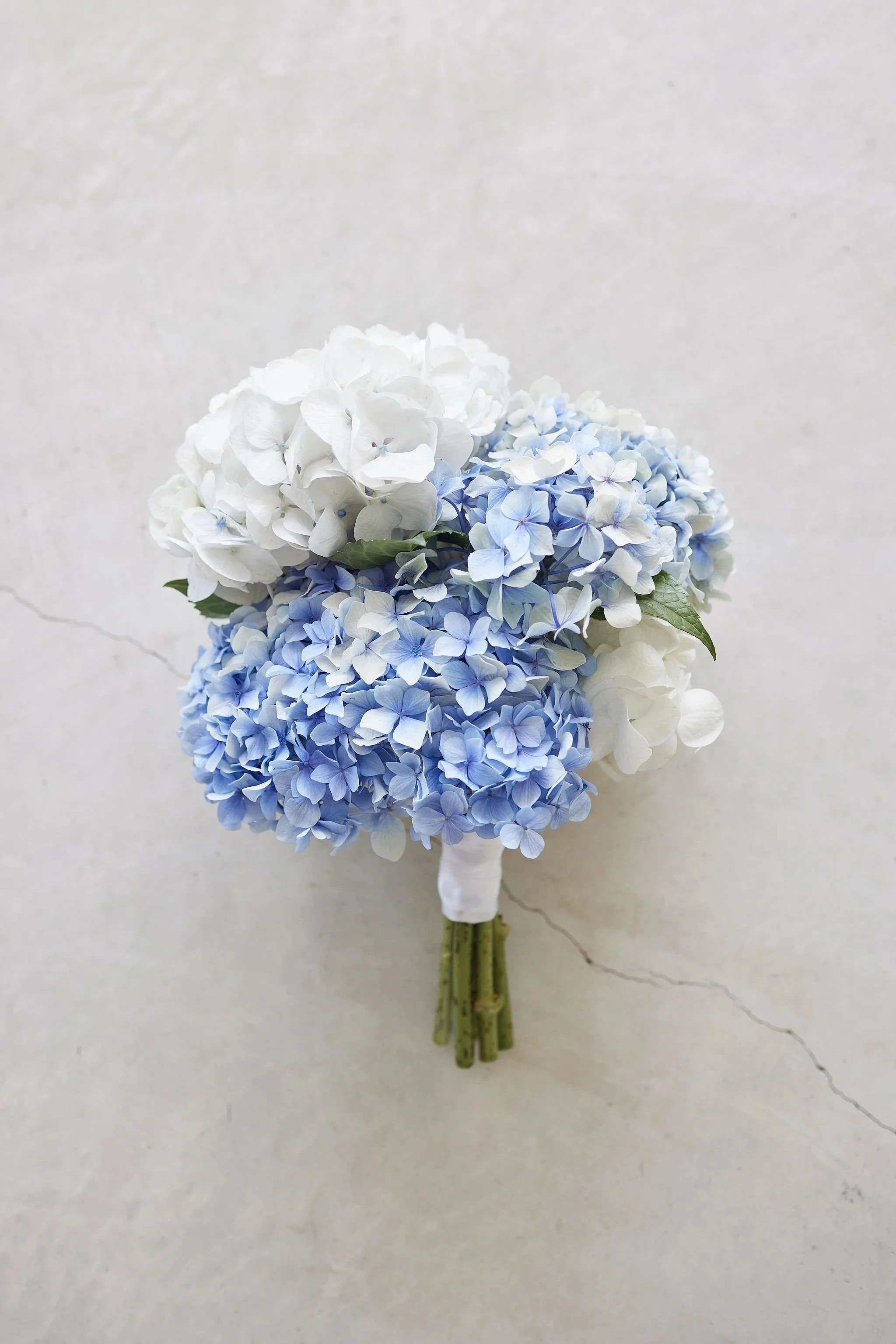 imgi_32_HR_BandM_LostinLove_HotelSorrento_wedding192.jpg
