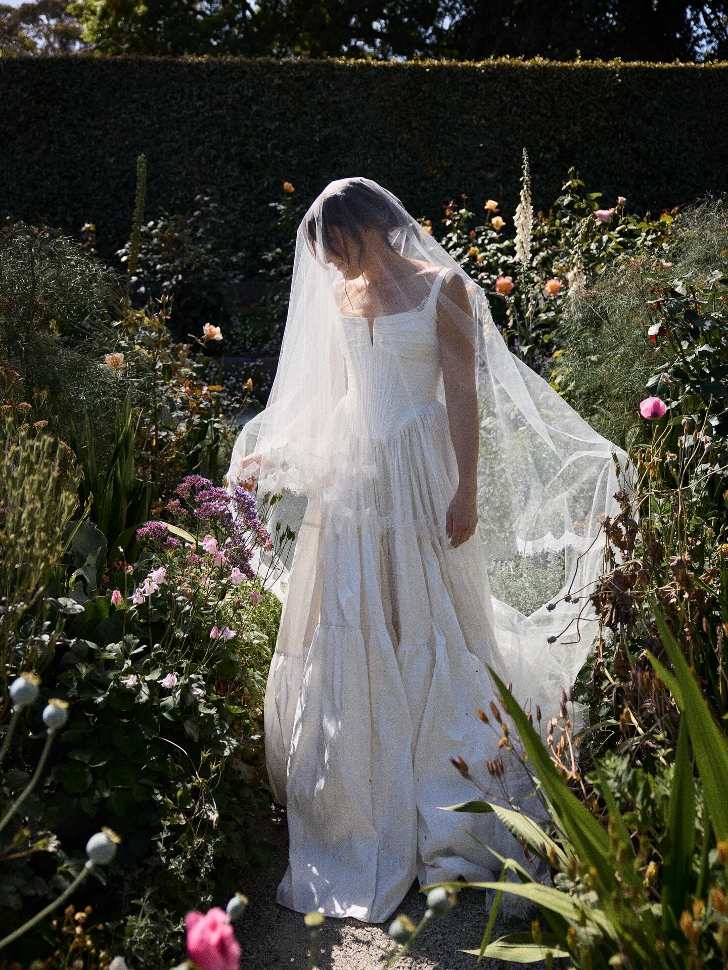 Renee&rsquo;s angelic voice floating through manicured gardens. Early summer sunlight streaming through veils. Soft cool grass beneath the feet. And the sweet scent of roses. I don&rsquo;t think I could ever get tired of this job. Selecting beautiful