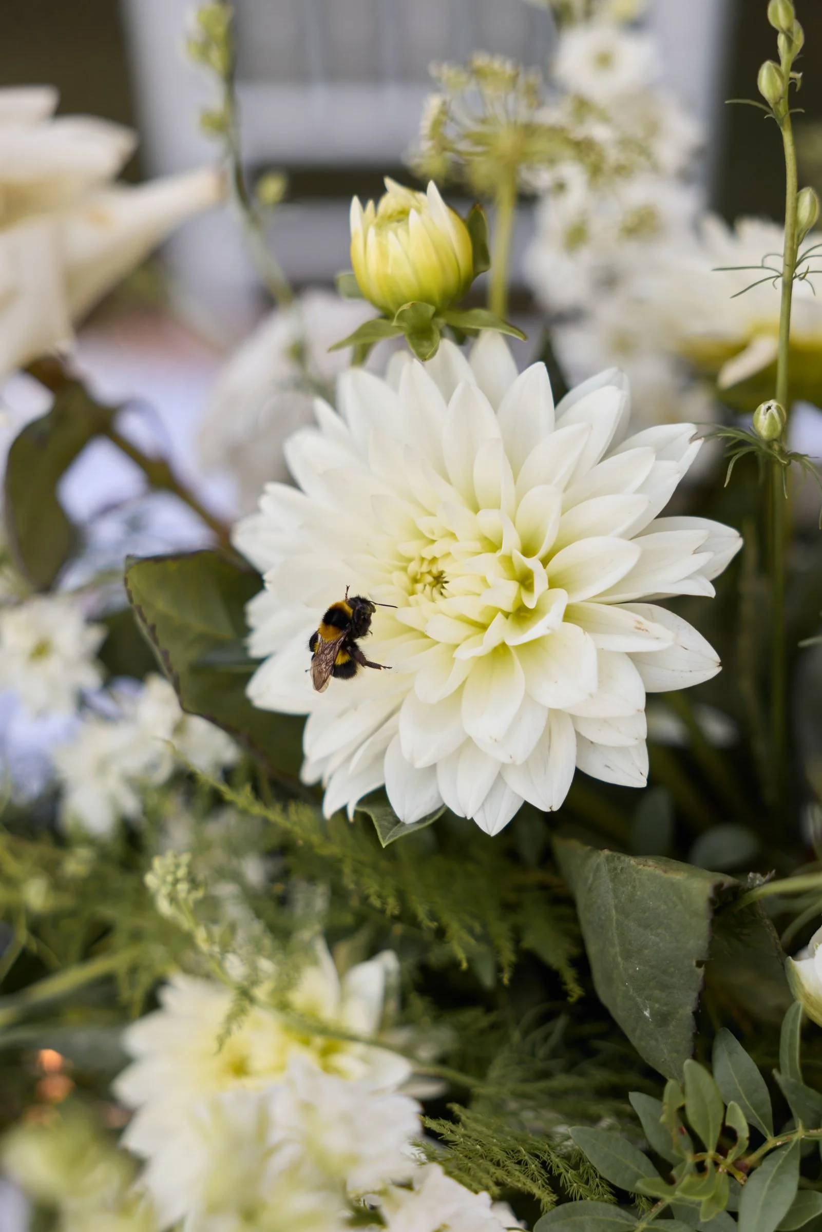 web_037AshandAsh_BelmondCaruso_LostInLovePhotography_wedding_0702.jpg