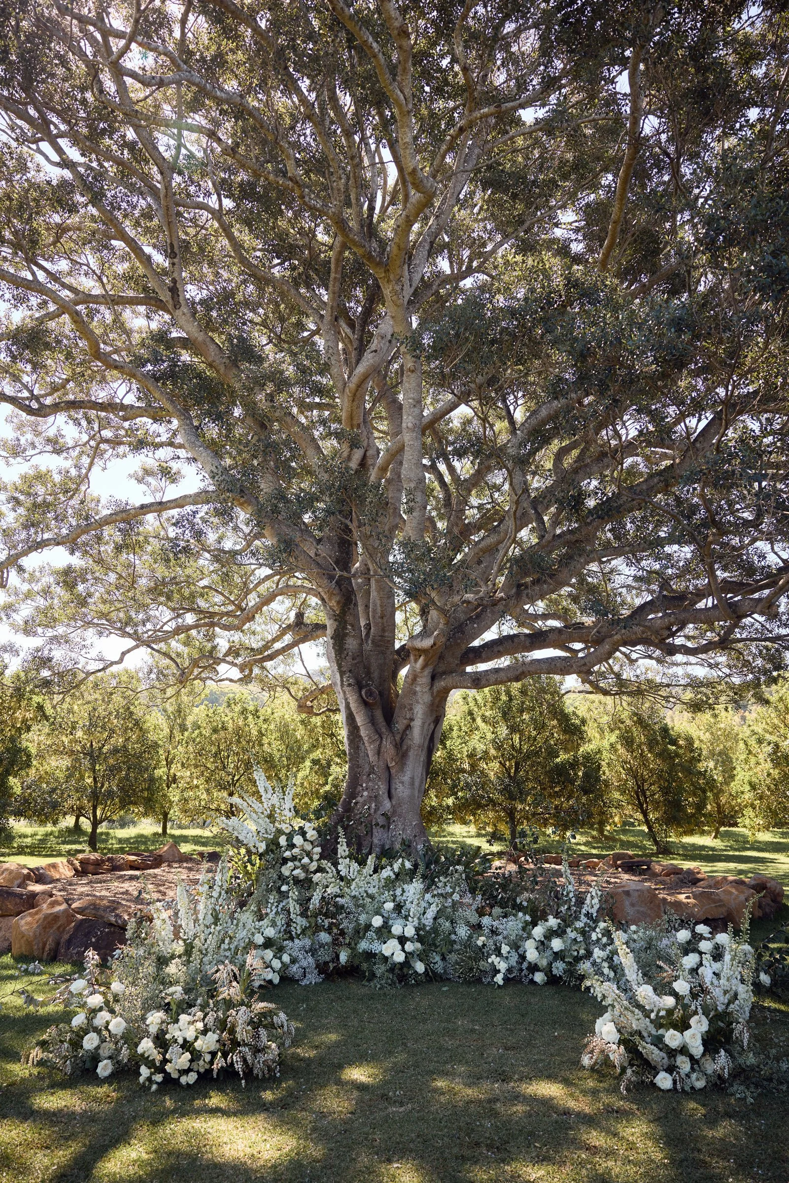 web_009BrittanyandLiam_LostinLovePhotography_TidesByronBay_0394.jpg