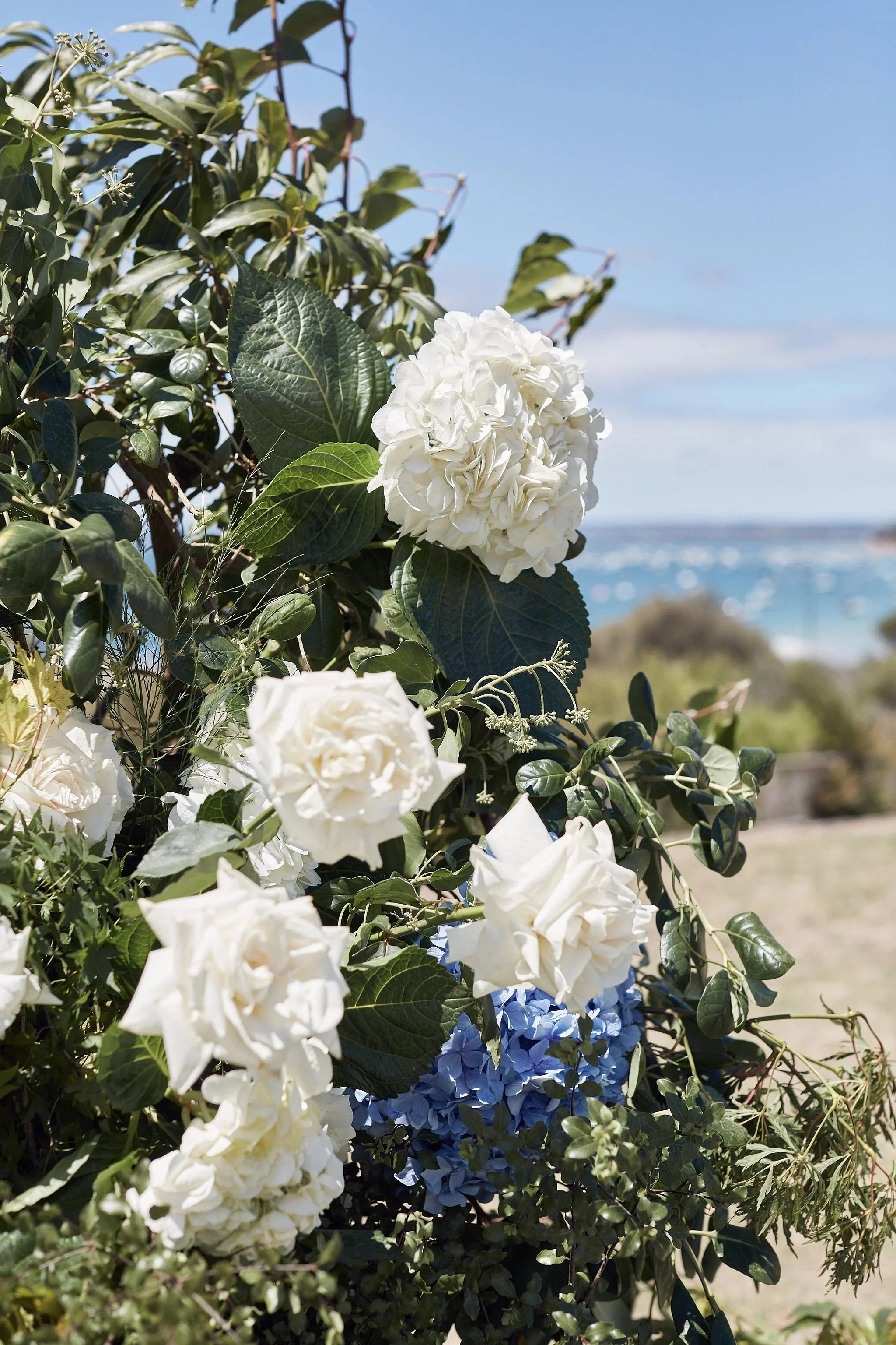 imgi_91_HR_BandM_LostinLove_HotelSorrento_wedding576.jpg
