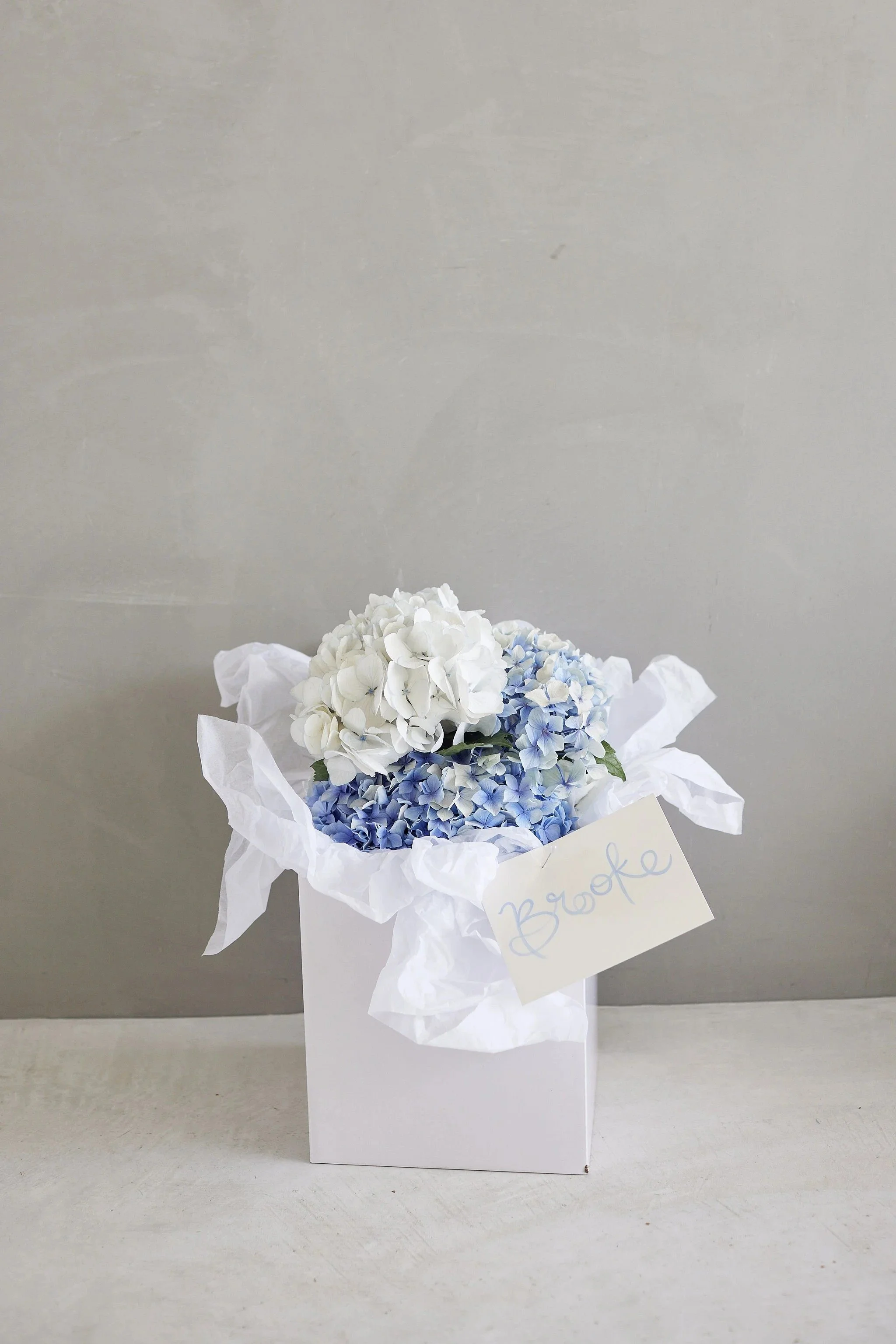 imgi_30_HR_BandM_LostinLove_HotelSorrento_wedding190.jpg
