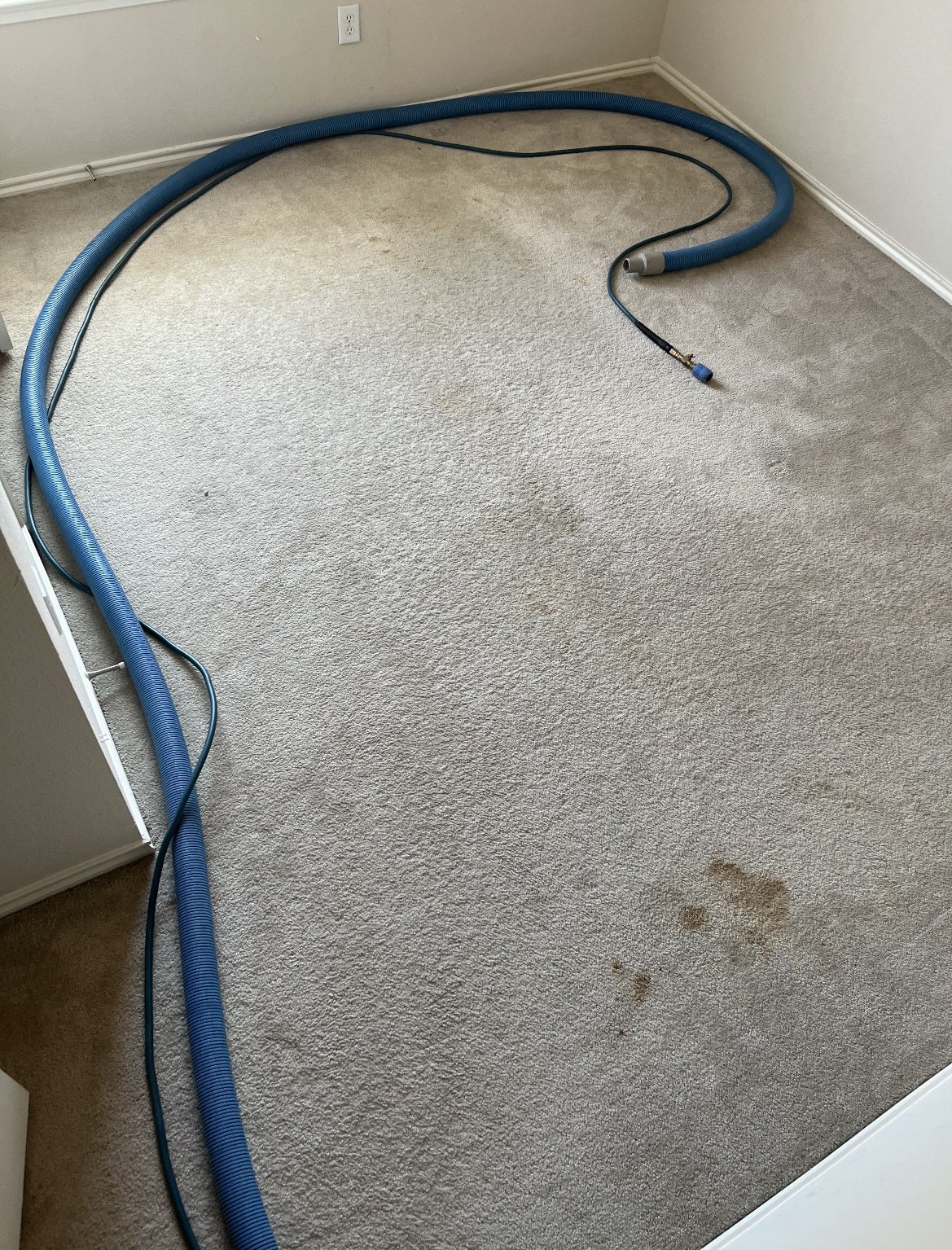 How to get a stain out of carpet
