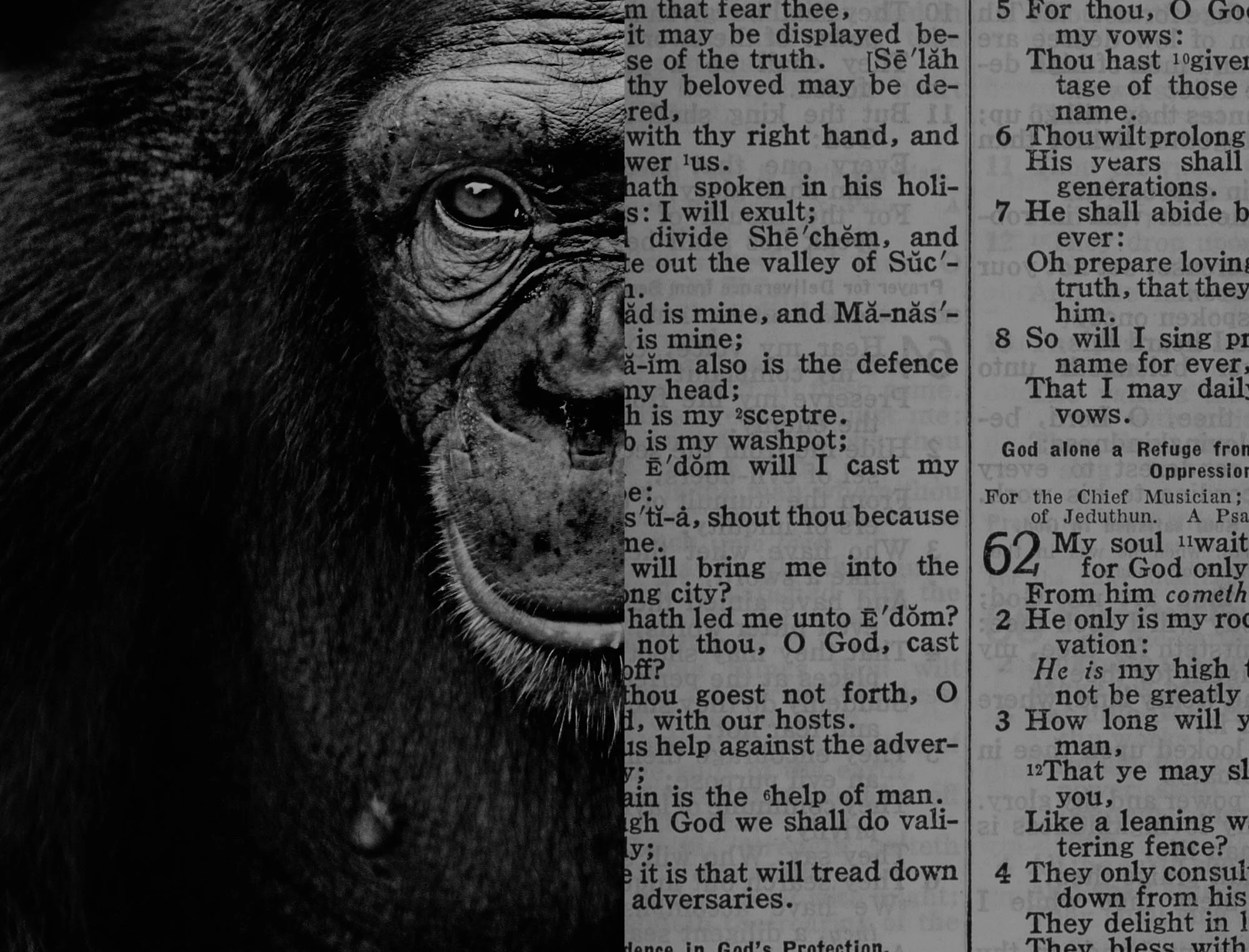 The Great Divide: The Bible & Science