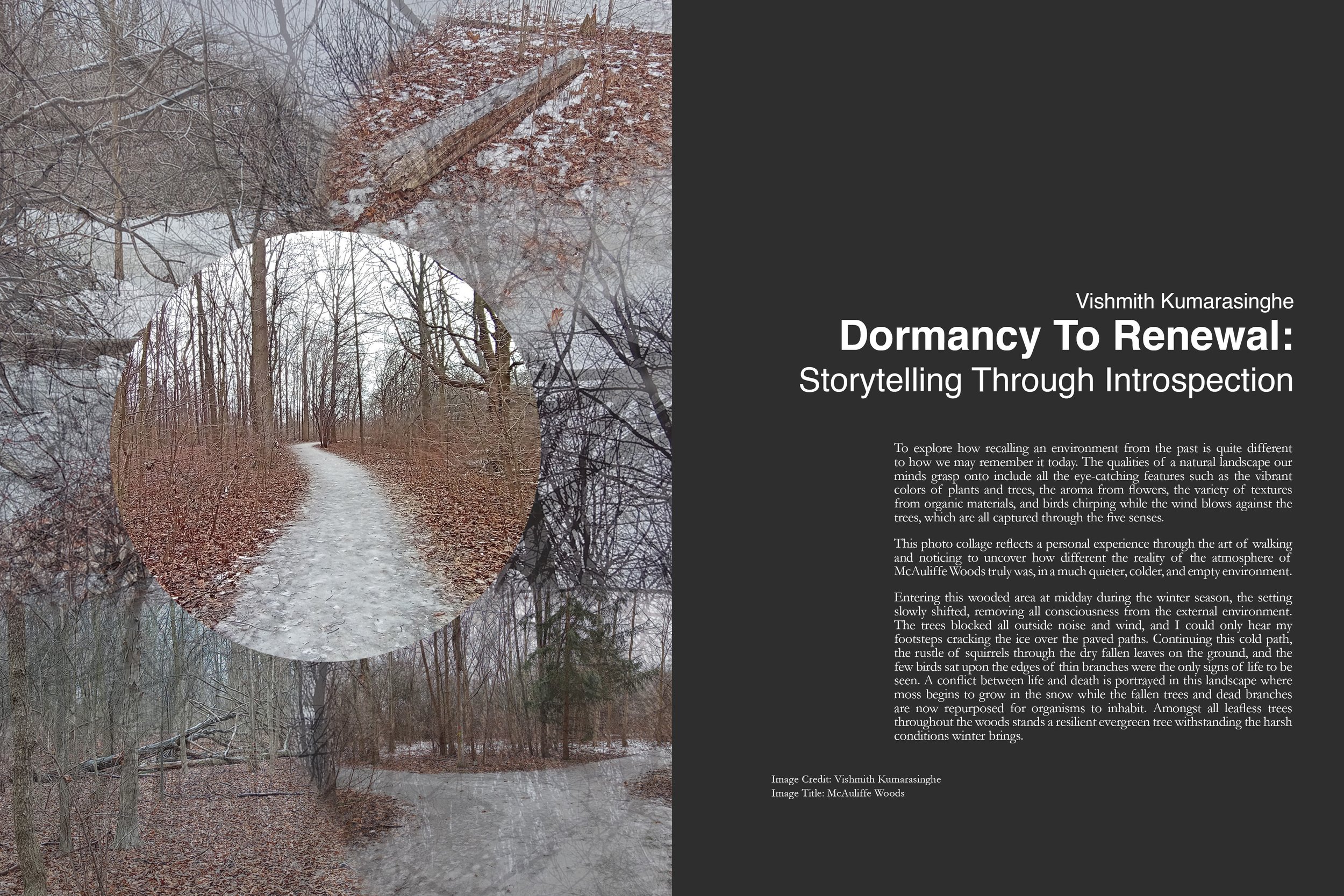 Dichotomy 29 ECHO JPEG Spread Pgs._136-137.jpg