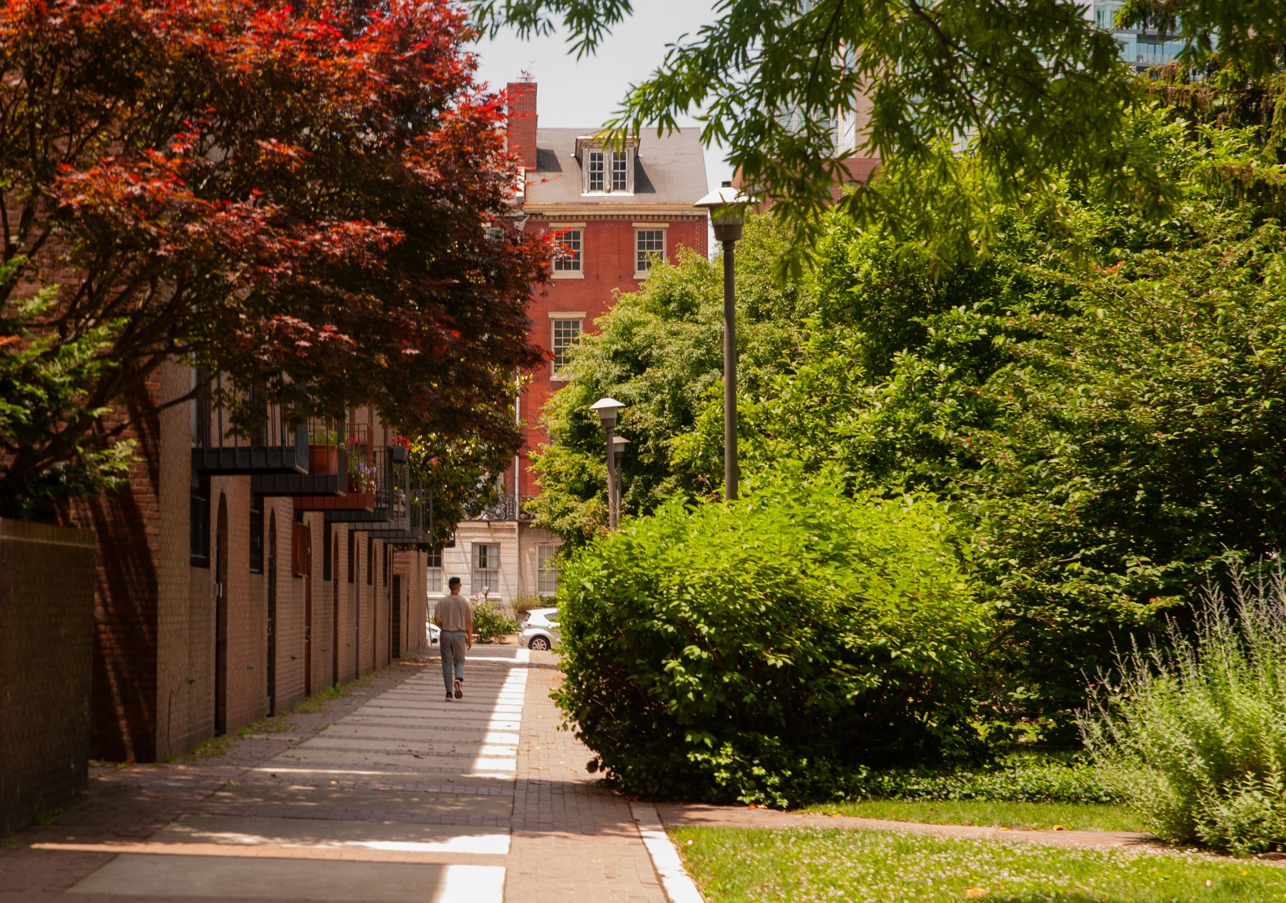 The Ryland Society Hill