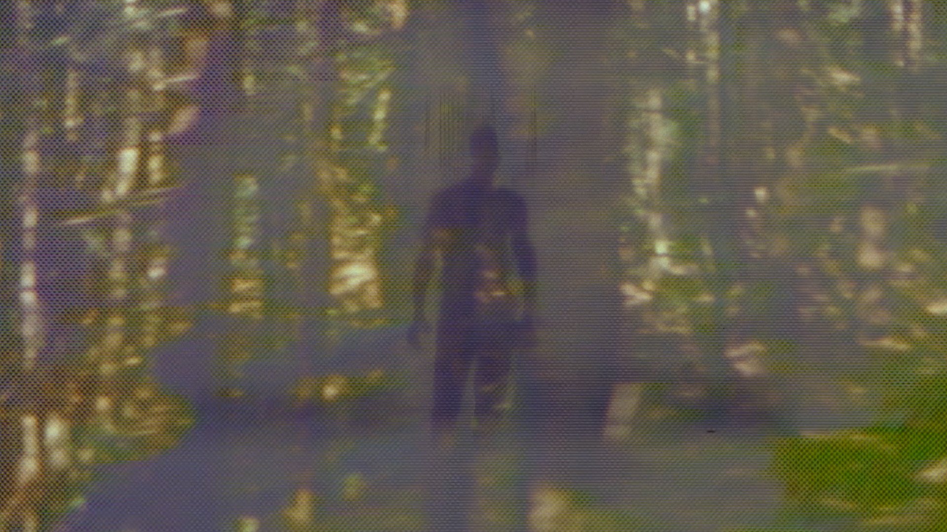 ABSTRACT_TENDENCIES_DOCFEST_MASTERFILE_4k.00_04_58_16.Still181.jpg