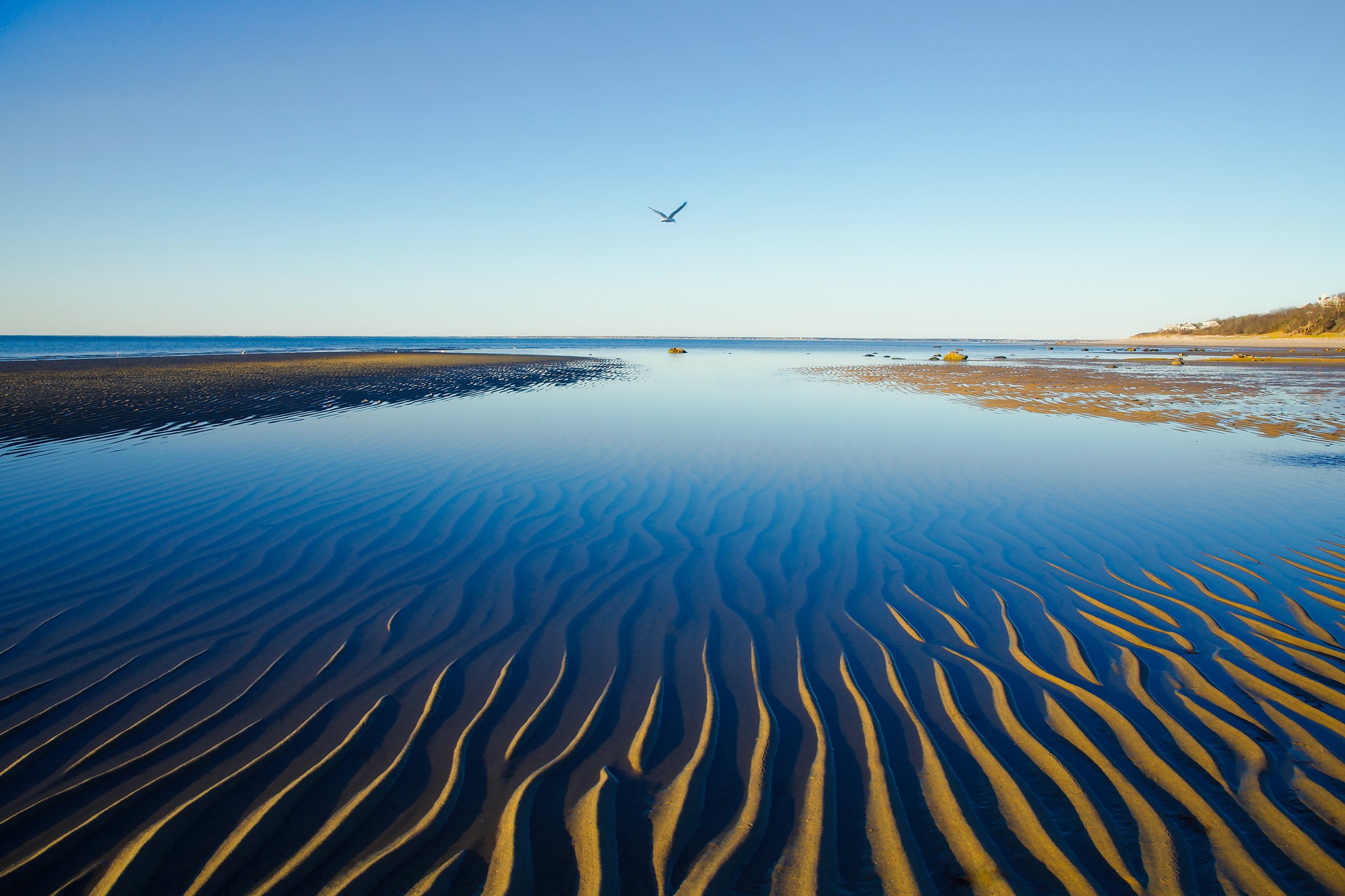 "Fly By" Paine's Creek Brewster, MA