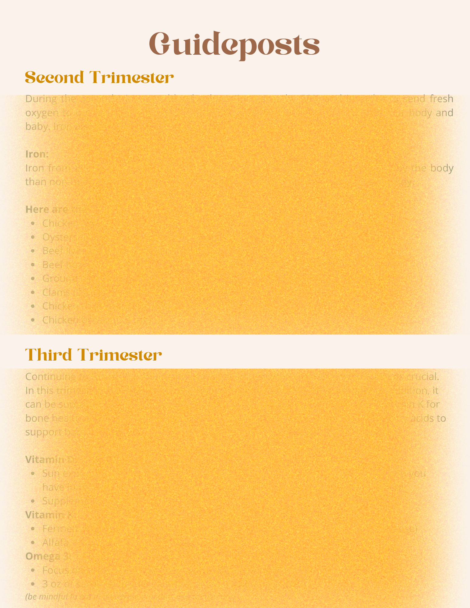 Prenatal Nutrition ebook image 2.png
