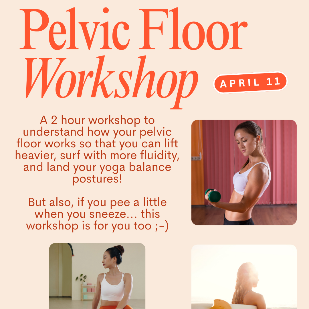 Pelvic+Floor+Workshop.png