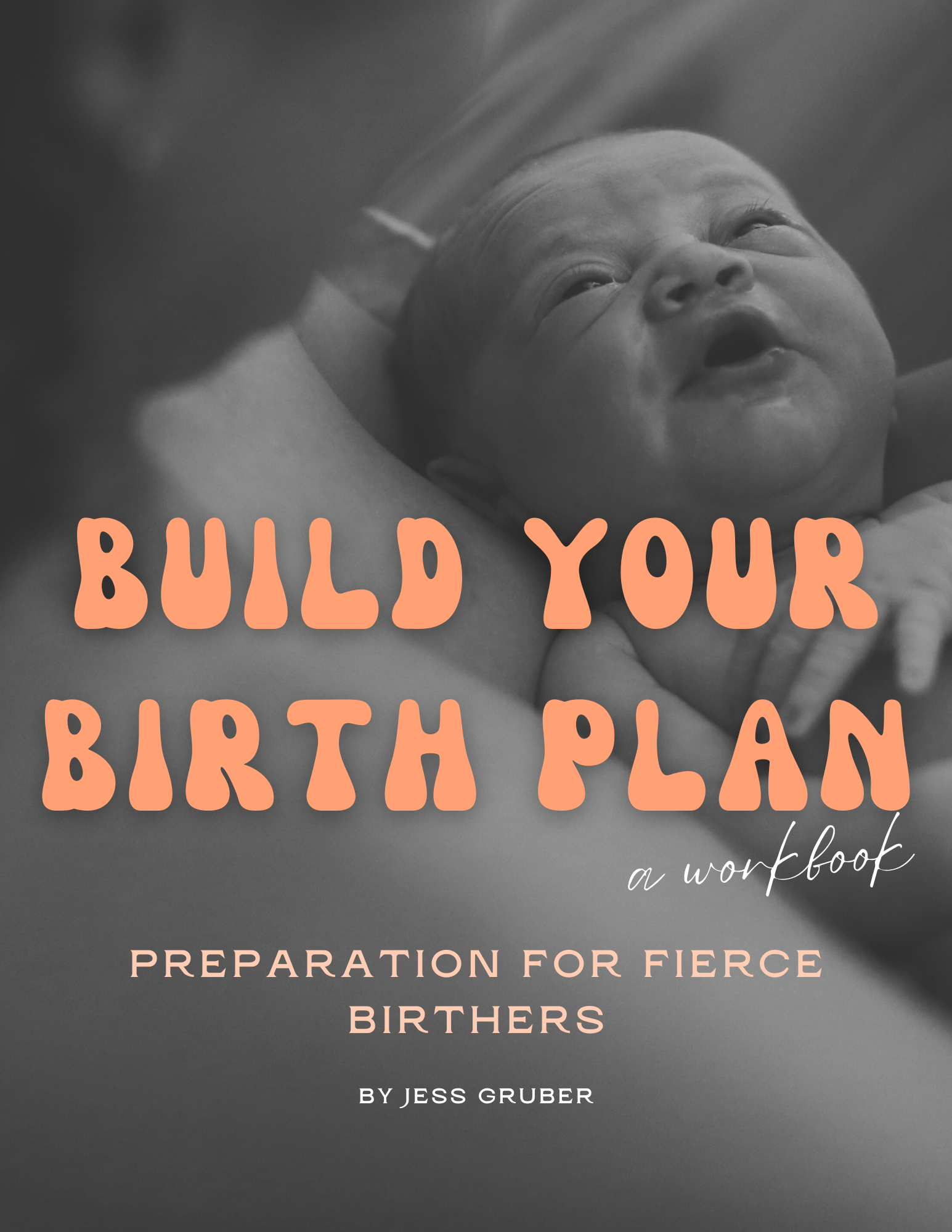 Build Your Birth Plan, a Workbook: Preparation for Fierce Birthers