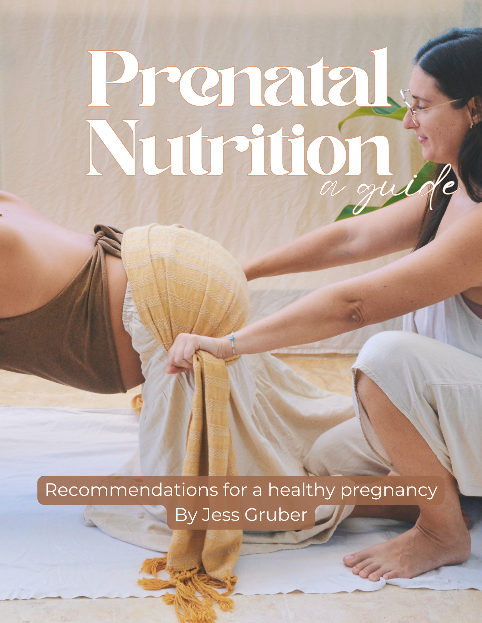 Prenatal Nutrition Guide