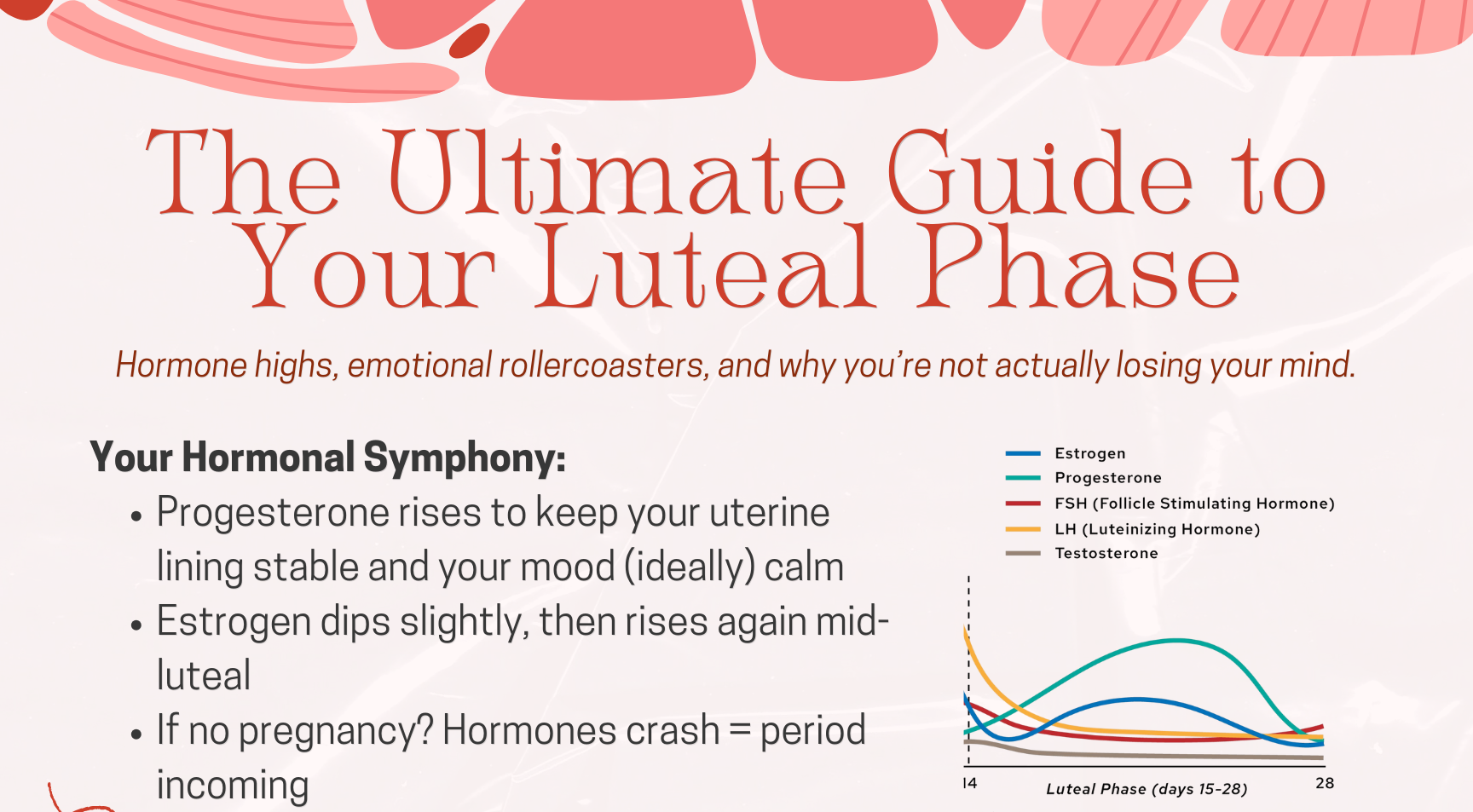 The+Ultimate+Guide+to+Your+Luteal+Phase.png
