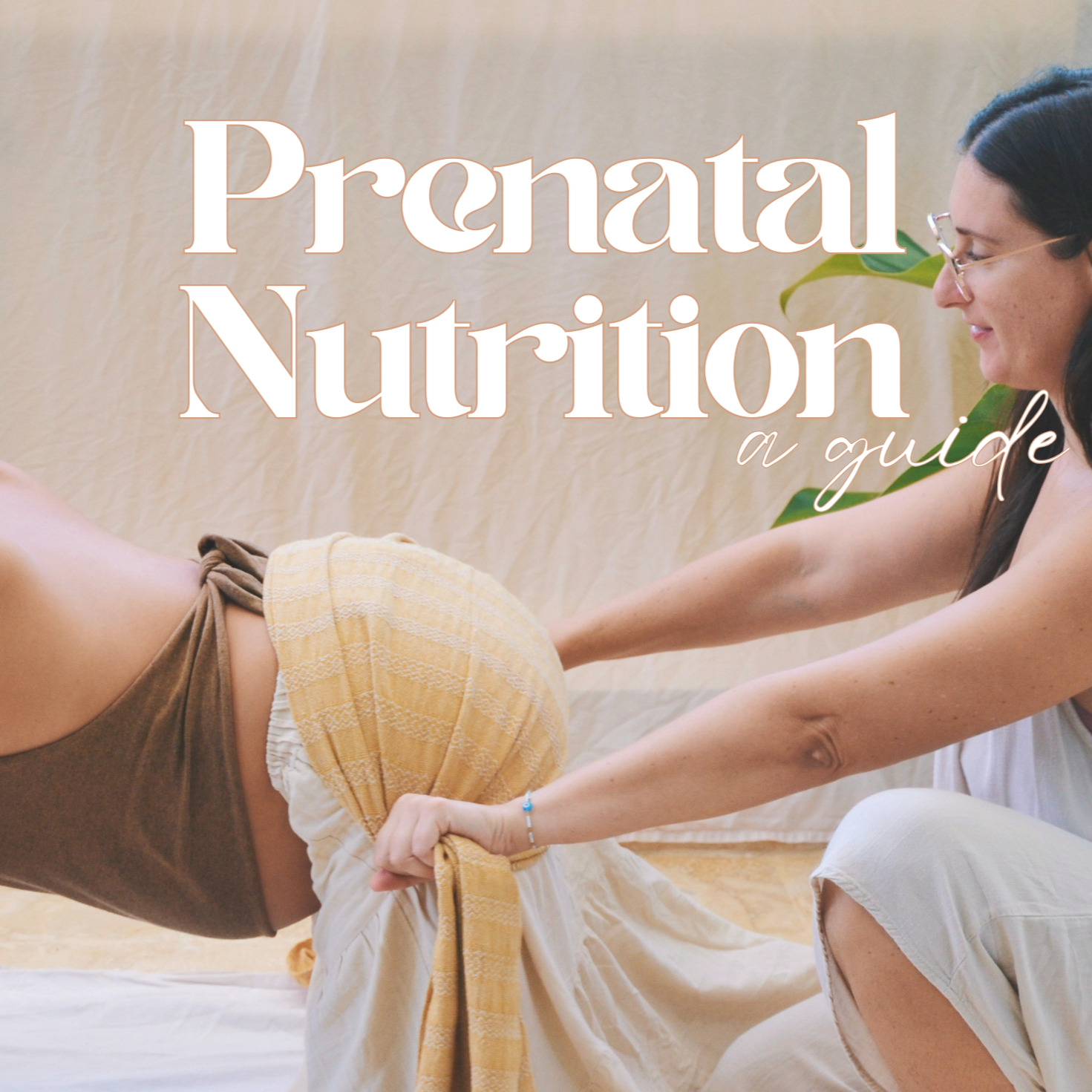 Prenatal+Nutrition+ebook.png
