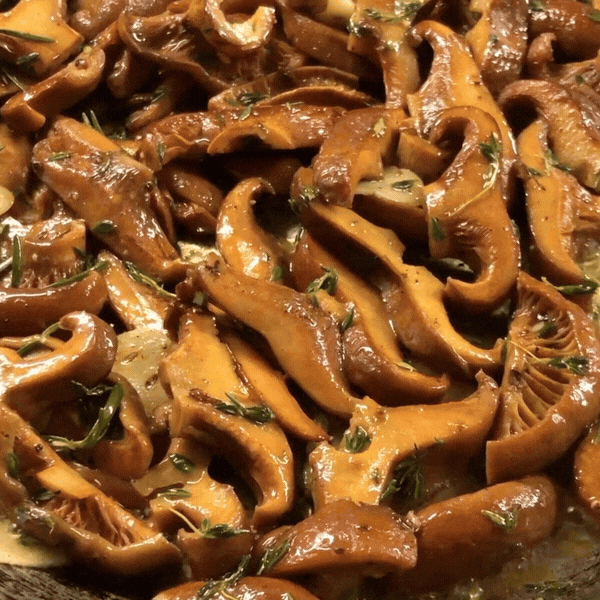 RECIPE 03: SECOND HELPINGS - AUTUMN