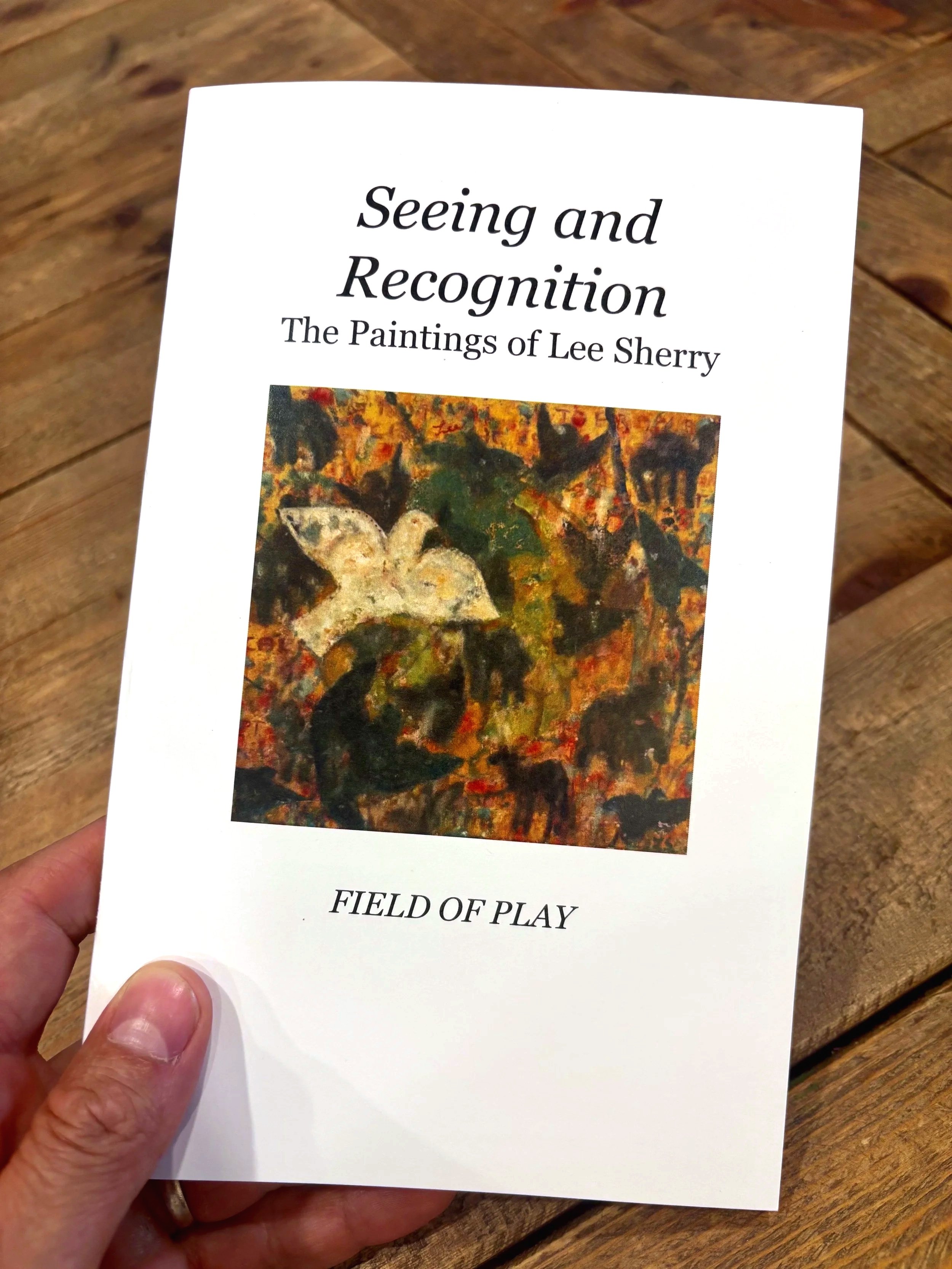 Seeing and Recognition | Lee Sherry Catalogue