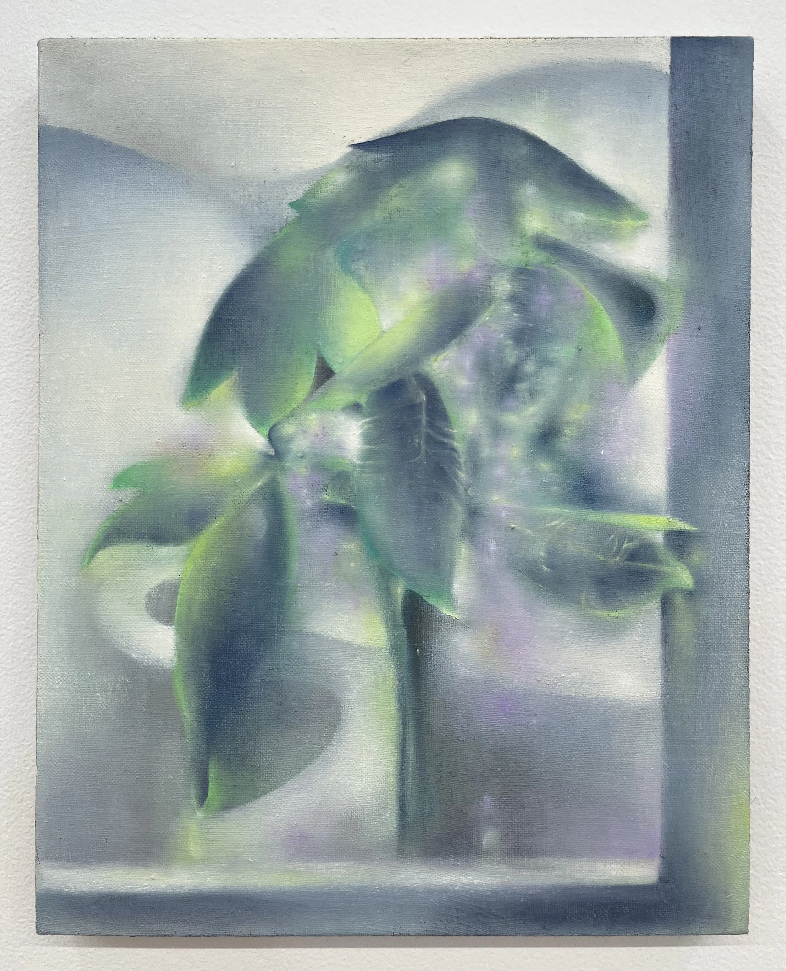 Tiantian Ma
Money Tree, 2025
Oil on Linen
20 x 16 in