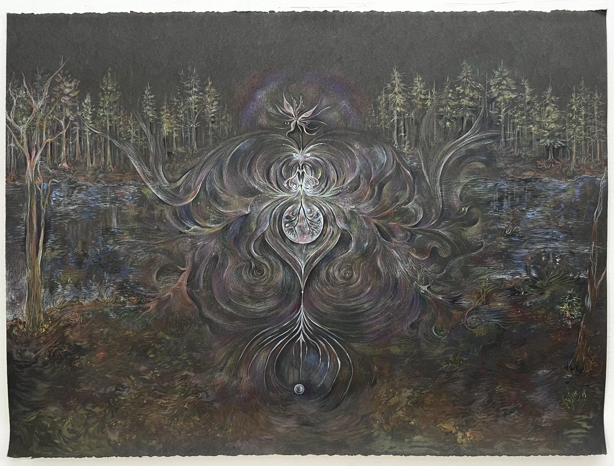 Sierra Iturrino
Nymphaeaceae, 2026
Watercolor and colored pencil on paper
20 x 30 in