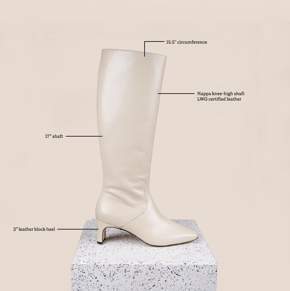 Stella oat diagram.jpg