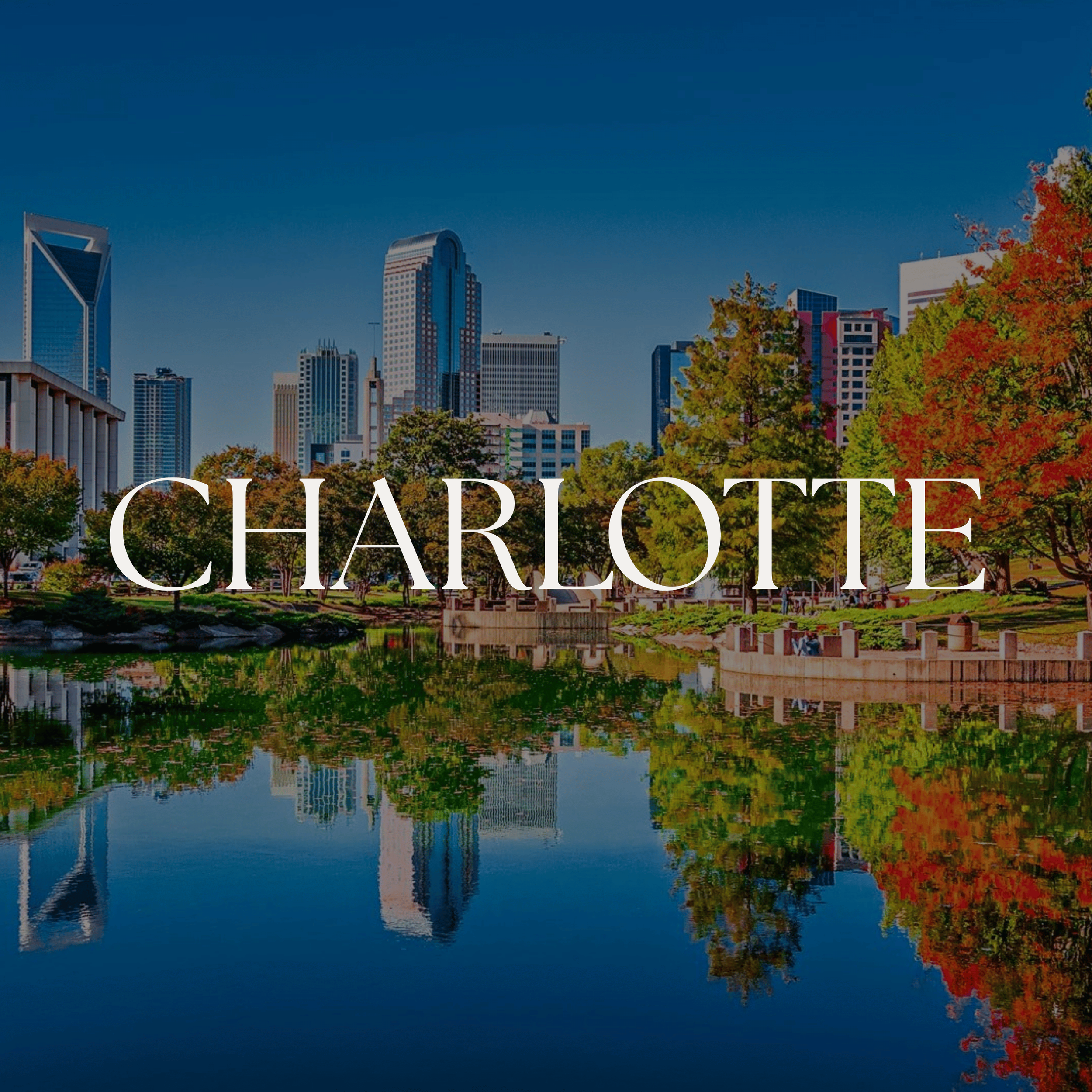 CHARLOTTE.png
