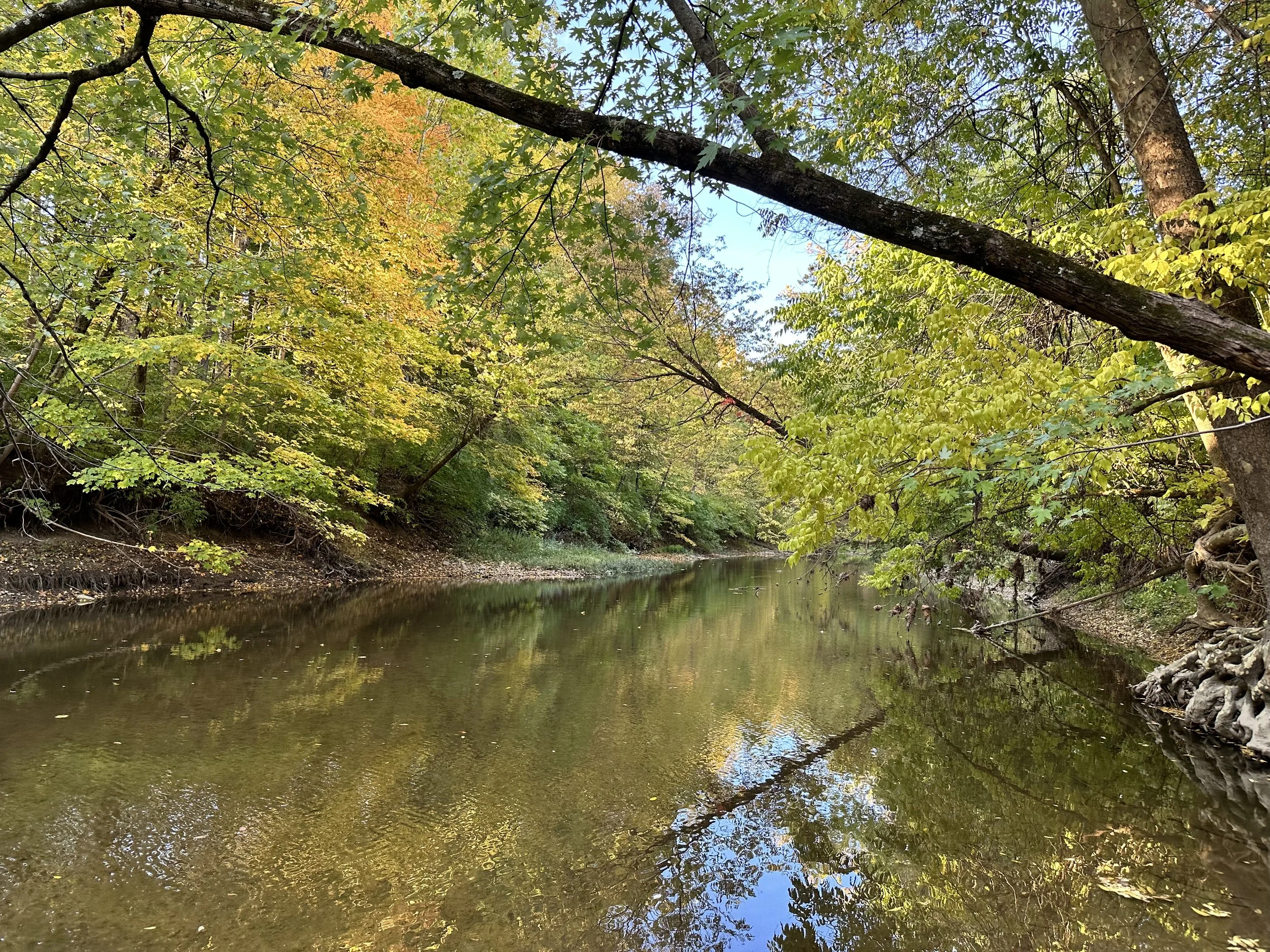 2022-10-07 08.46.45.jpg