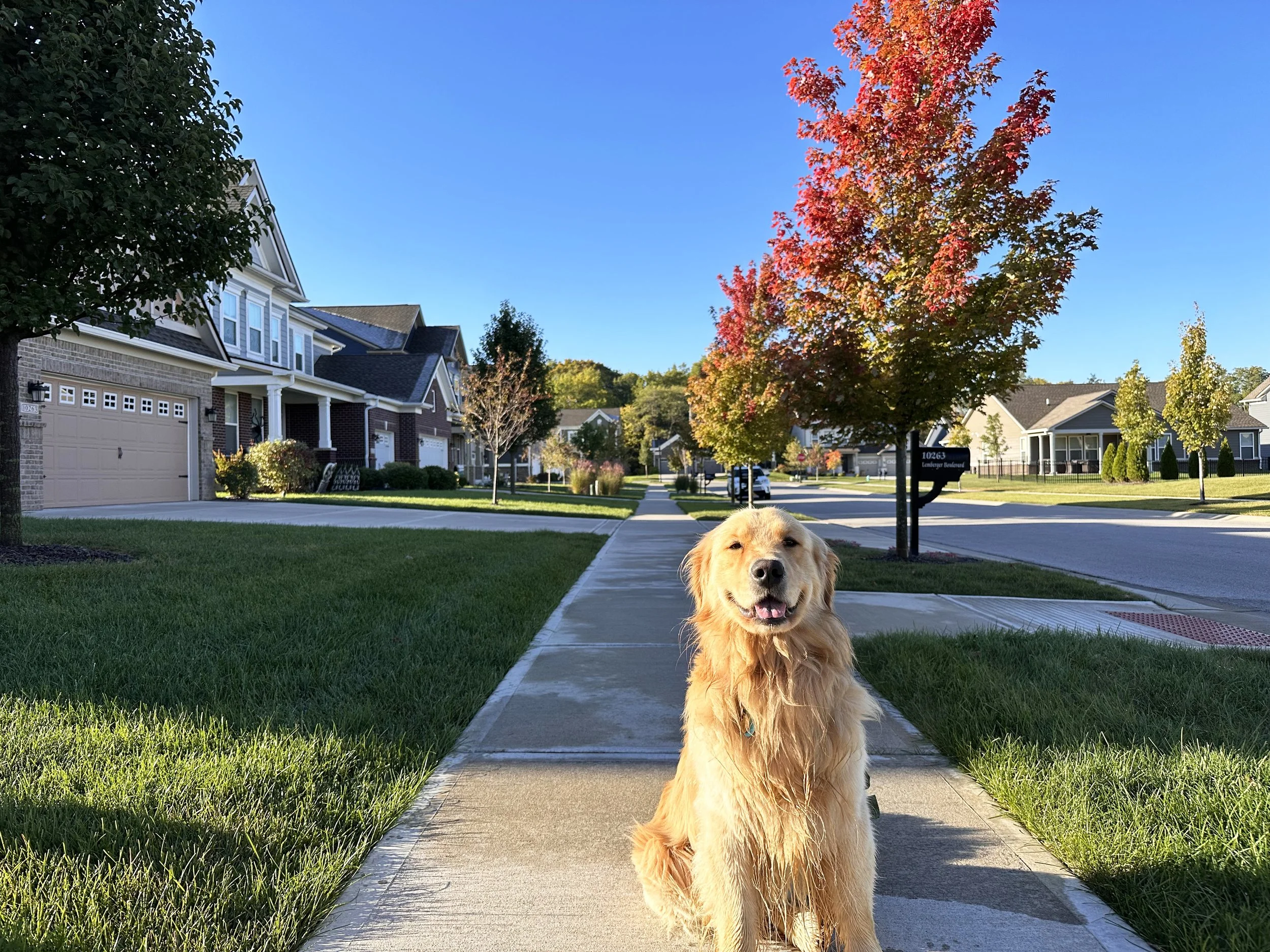 2022-10-04 09.24.08.jpg