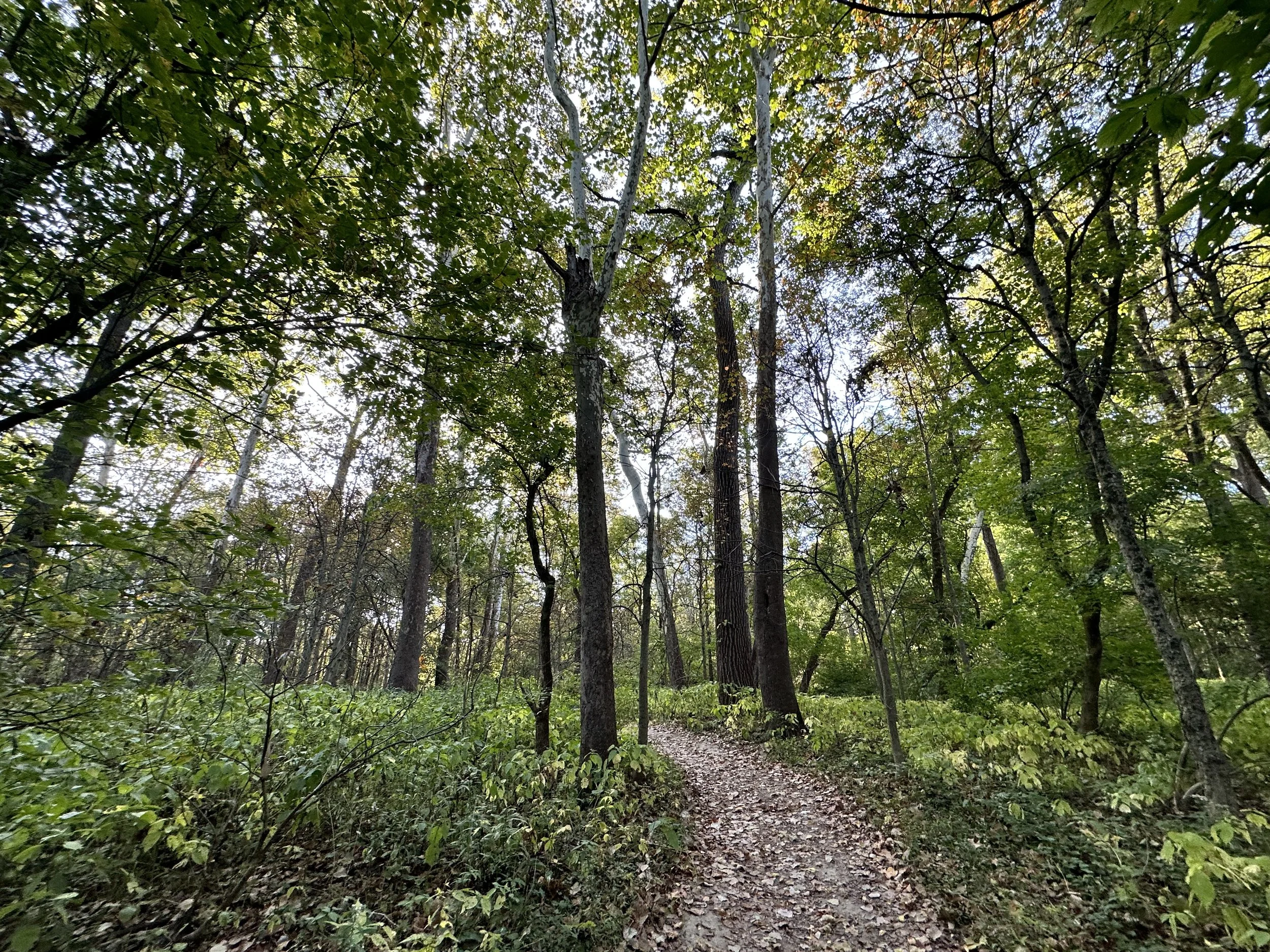 2022-10-07 09.07.27.jpg