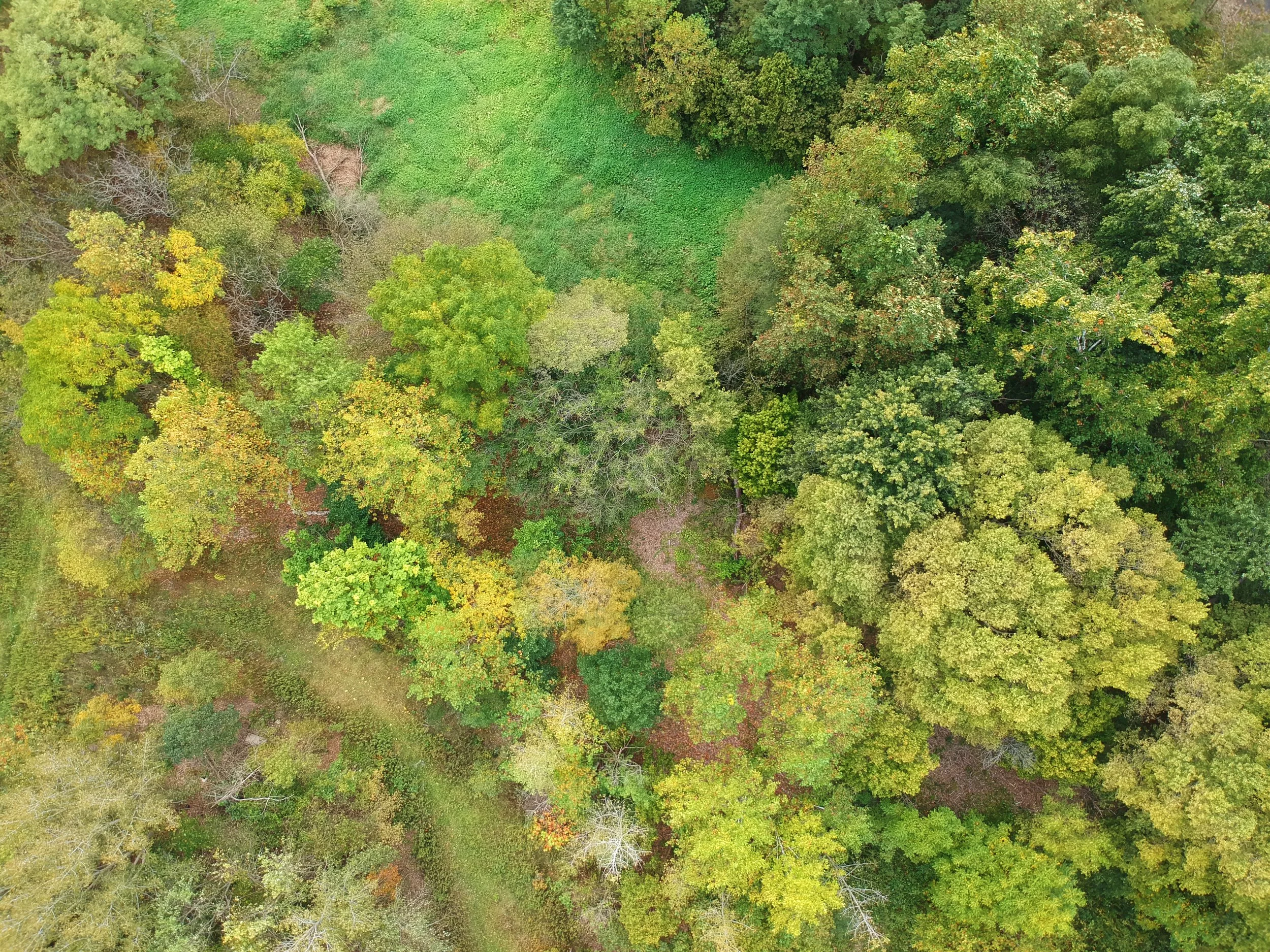 DJI_5344.JPG