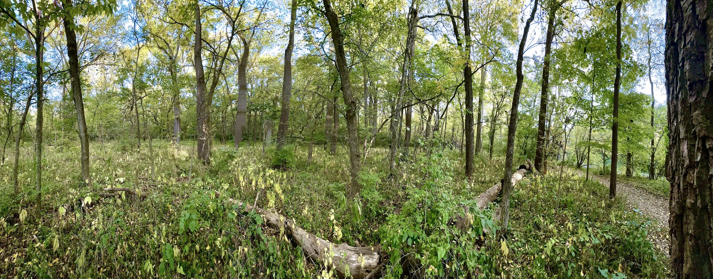 2022-10-07 08.41.30LR.jpg