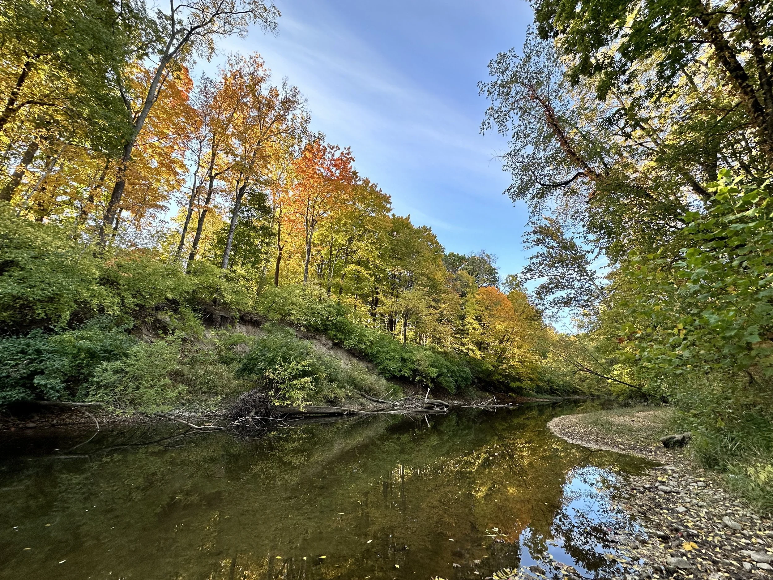 2022-10-07 08.51.41.jpg