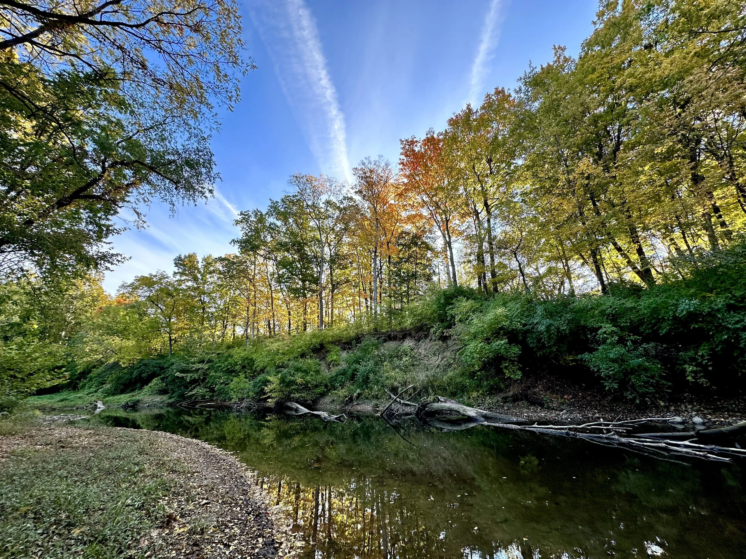 2022-10-07 08.47.10.jpg