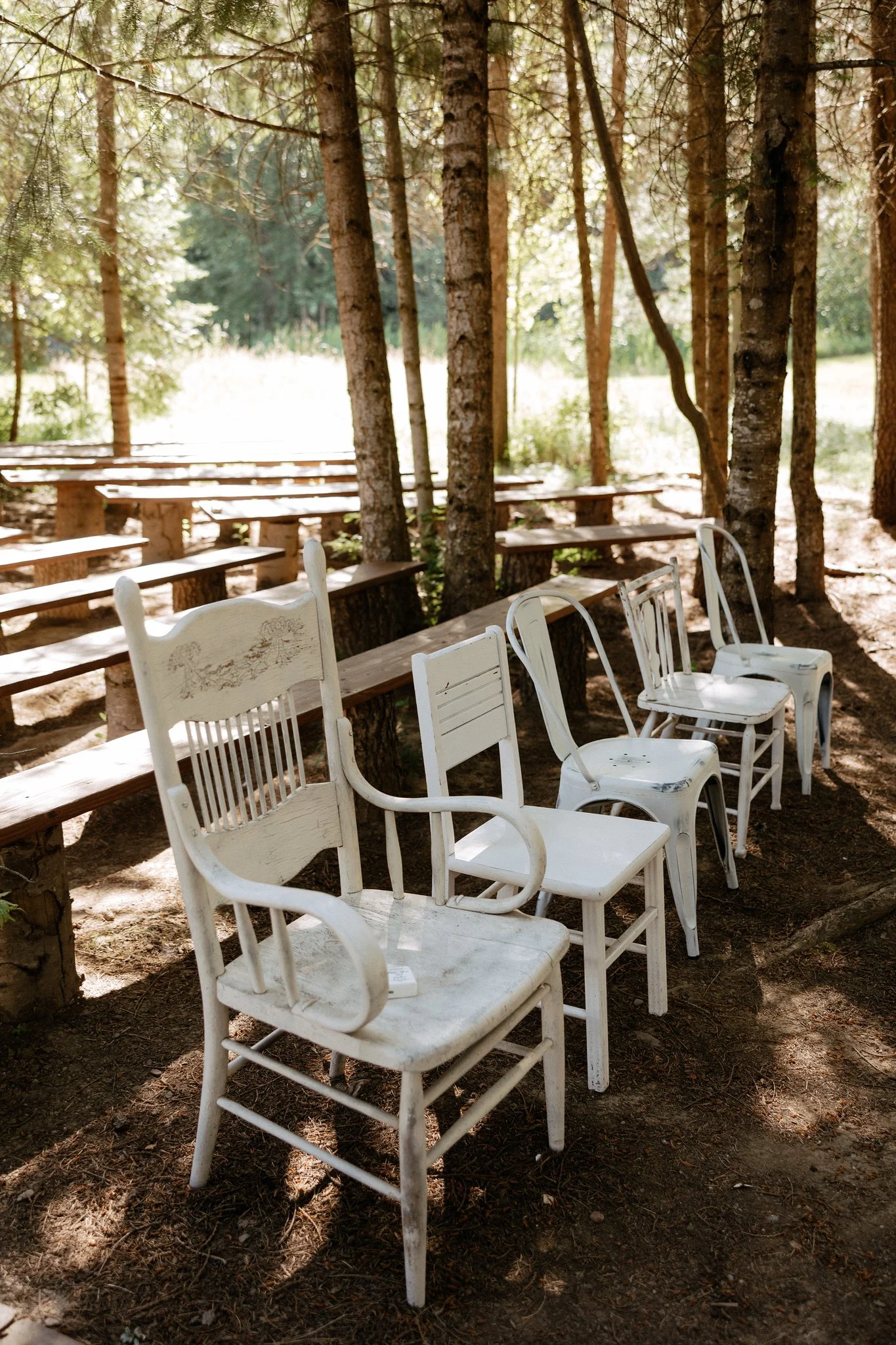 Photo by Abi Noel Photography