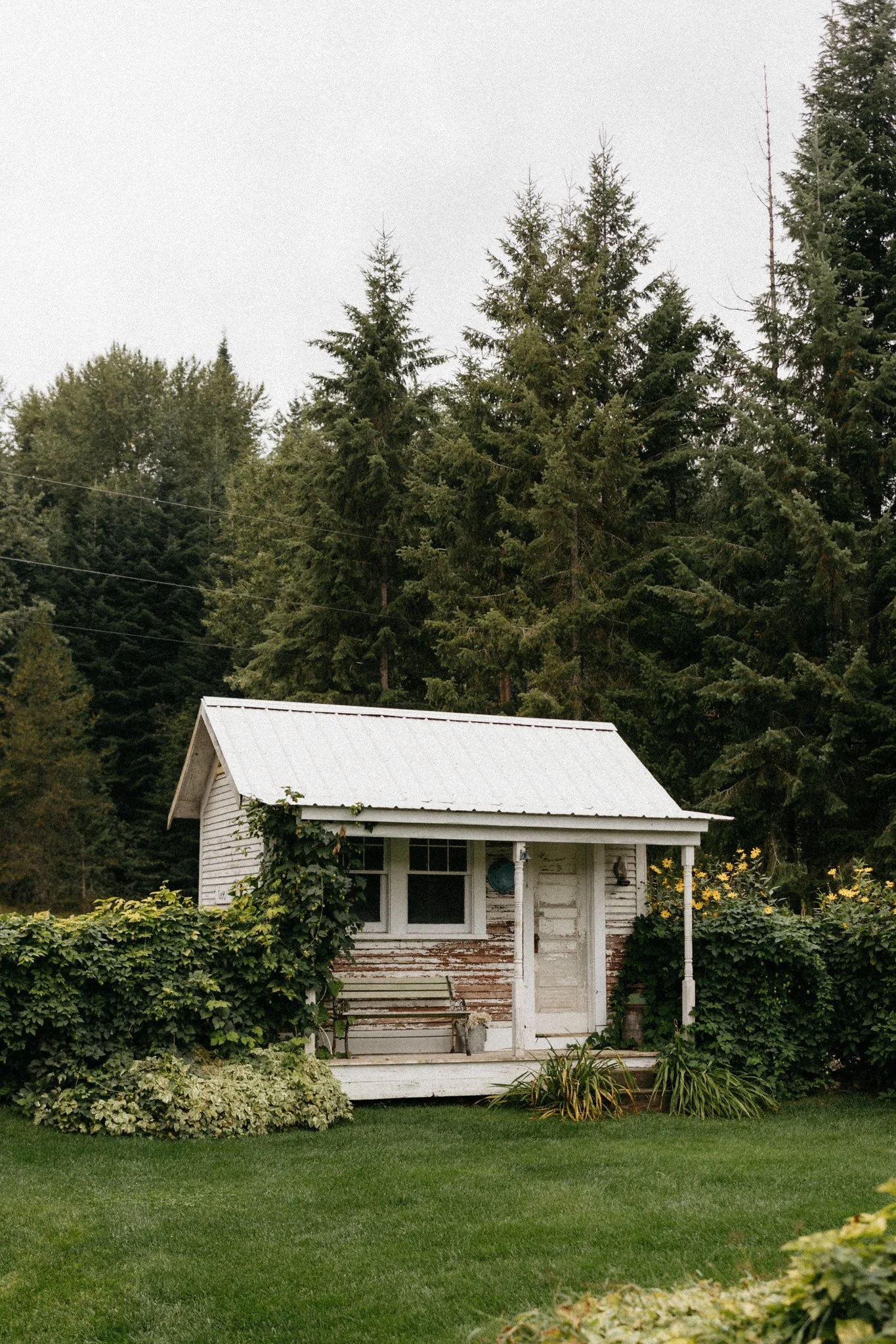 Photo by Abi Noel Photography