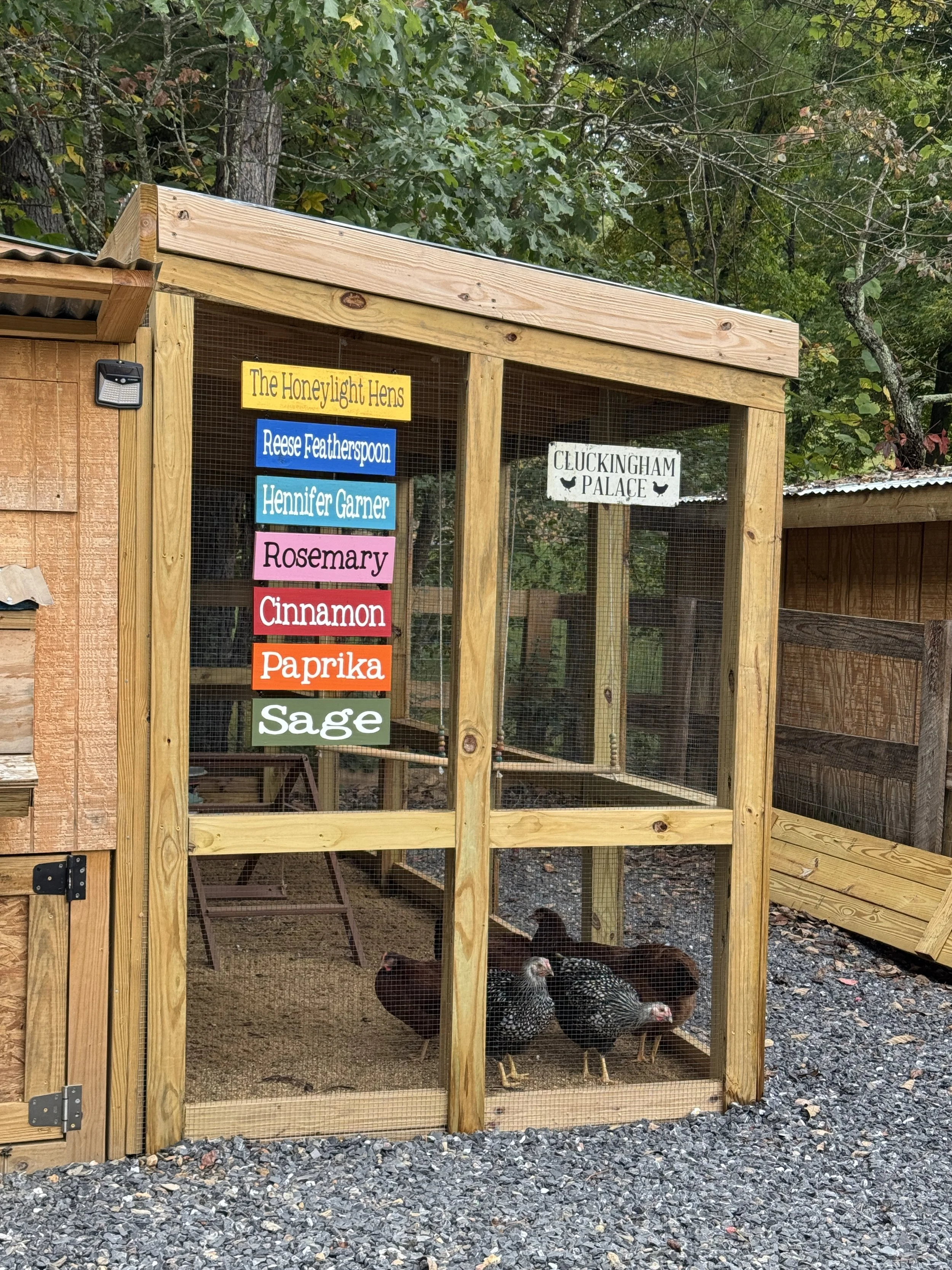 Tactic 195. Story 60. The Queen's Gambit. Jennifer Garner (and Hennifer Garner) reading Honey is Money at Honeylight Glamping. 2026