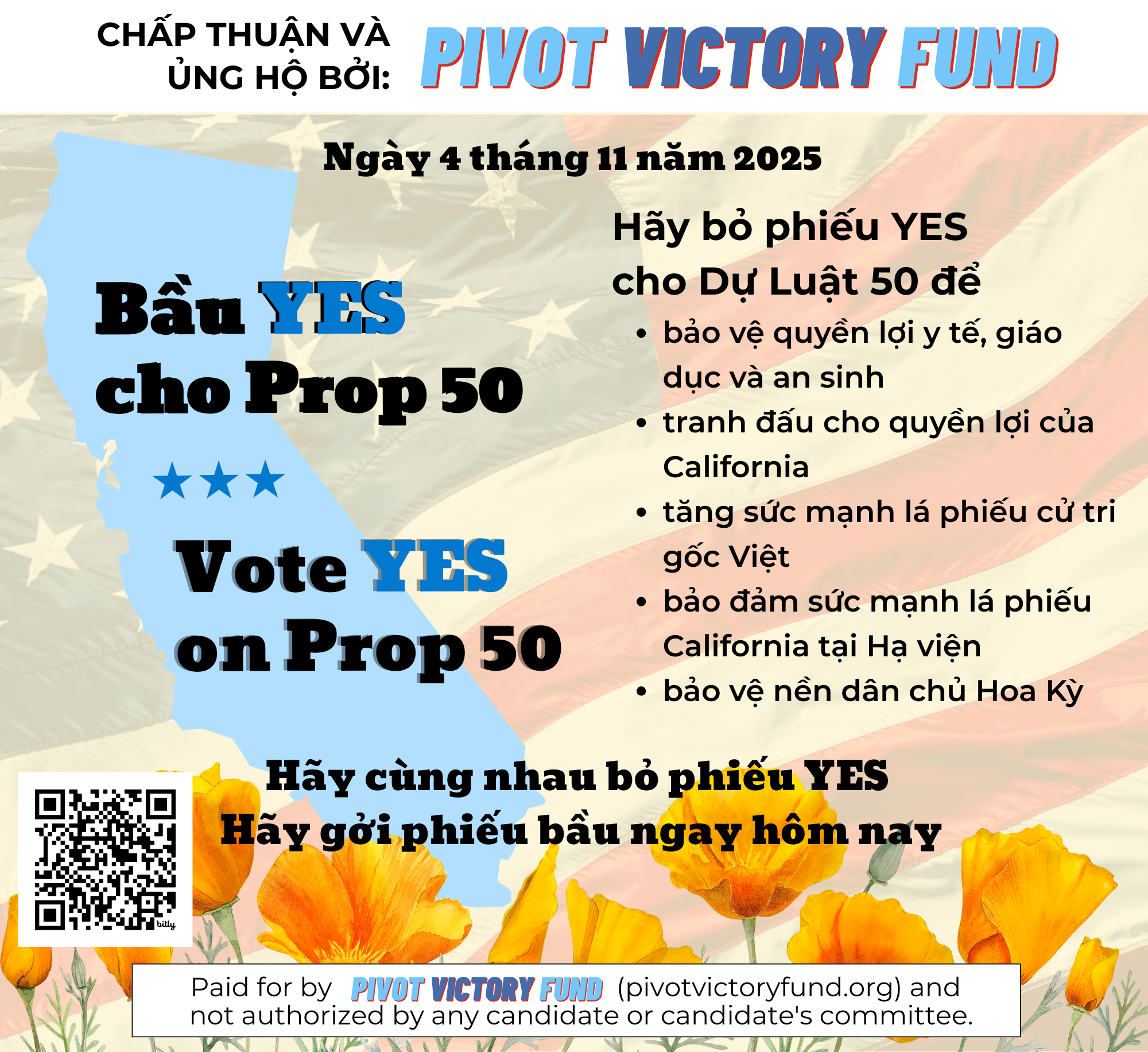 VietBao - 12 Page - Yes on Prop 50_V2.png
