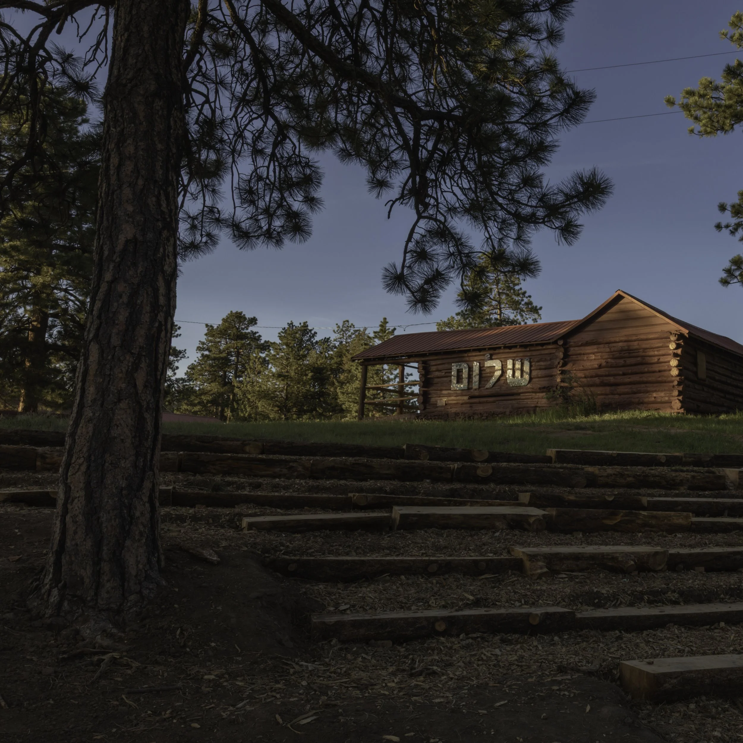 A rustic log cabin with a red metal roof situated among tall pine trees, with wooden steps leading up the grassy hill in the foreground.