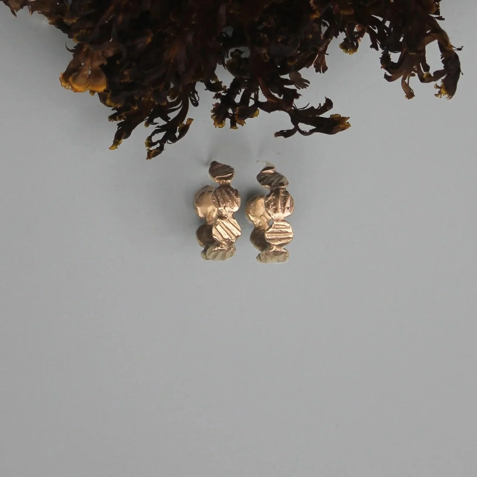 gold hoop earrings imprinted from seashells displayed amongst decorative seaweed